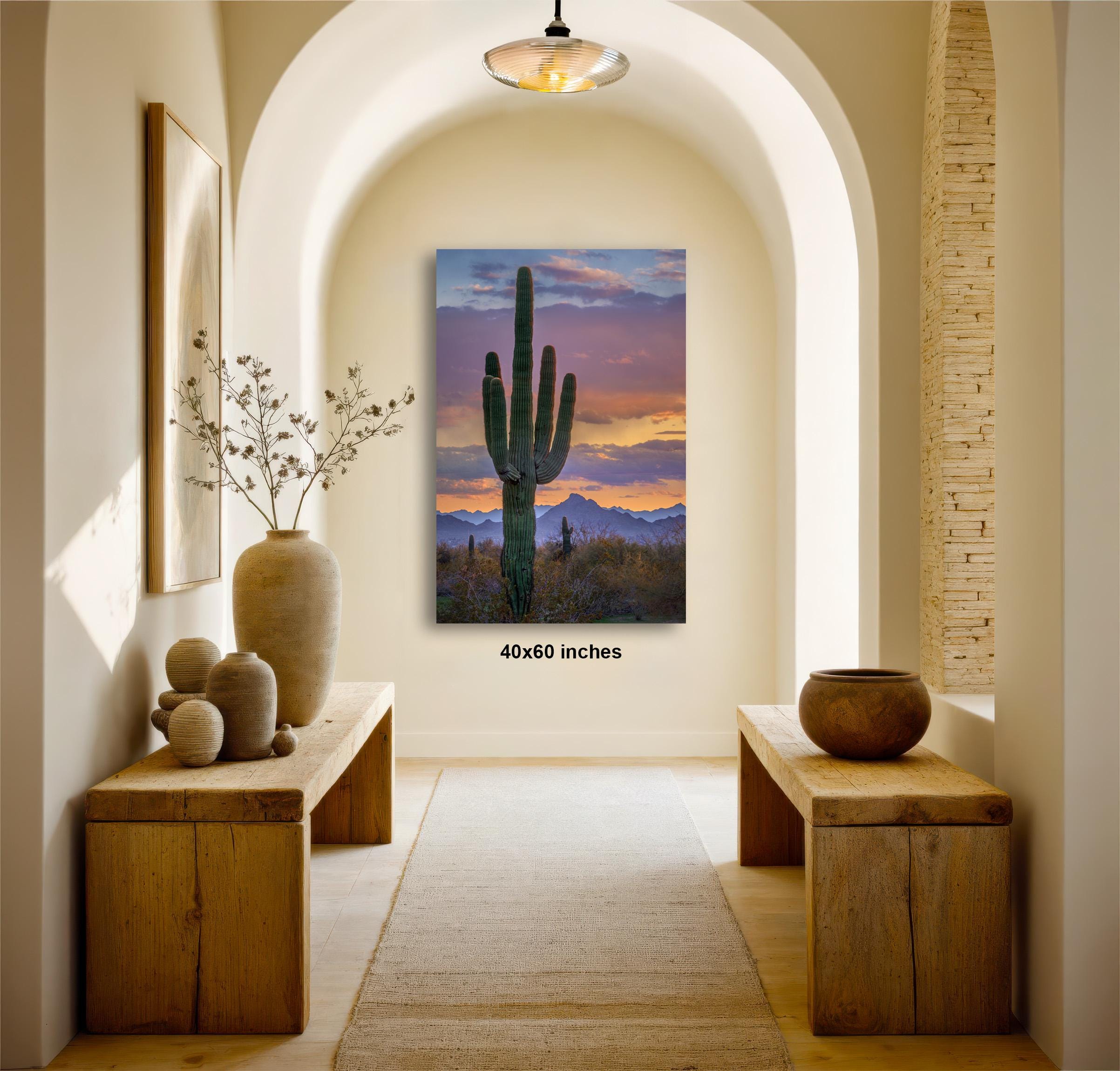 a desert-themed room with a large cactus painting hanging on the wall, a wooden bench on the left side, and a wooden table on the right side. The room has a warm, inviting atmosphere with natural elements and a sense of tranquility.