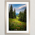 A framed photograph depicting a lush, green meadow filled with wildflowers, surrounded by tall pine trees and a picturesque mountain range in the distance.
