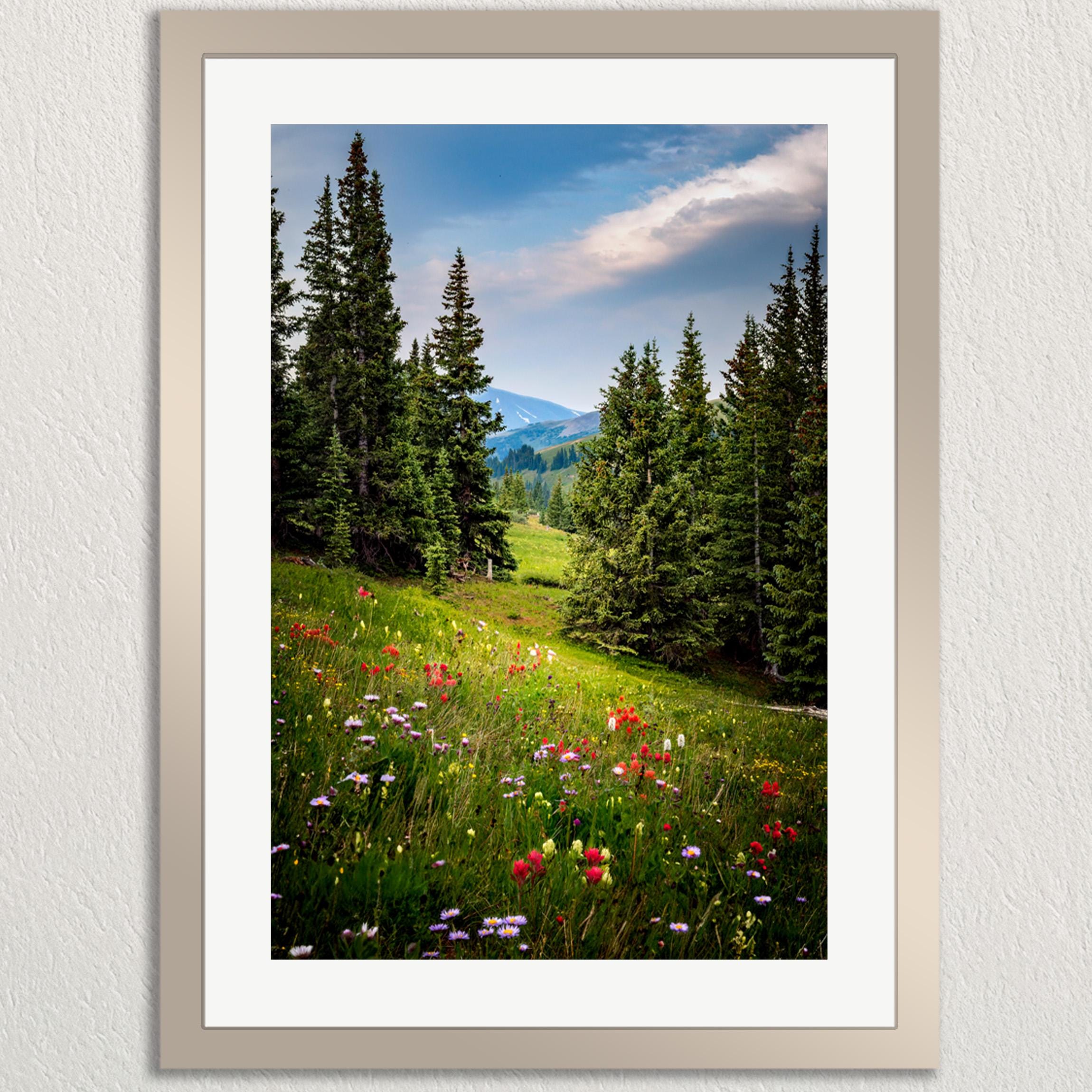 A framed photograph depicting a lush, green meadow filled with wildflowers, surrounded by tall pine trees and a picturesque mountain range in the distance.