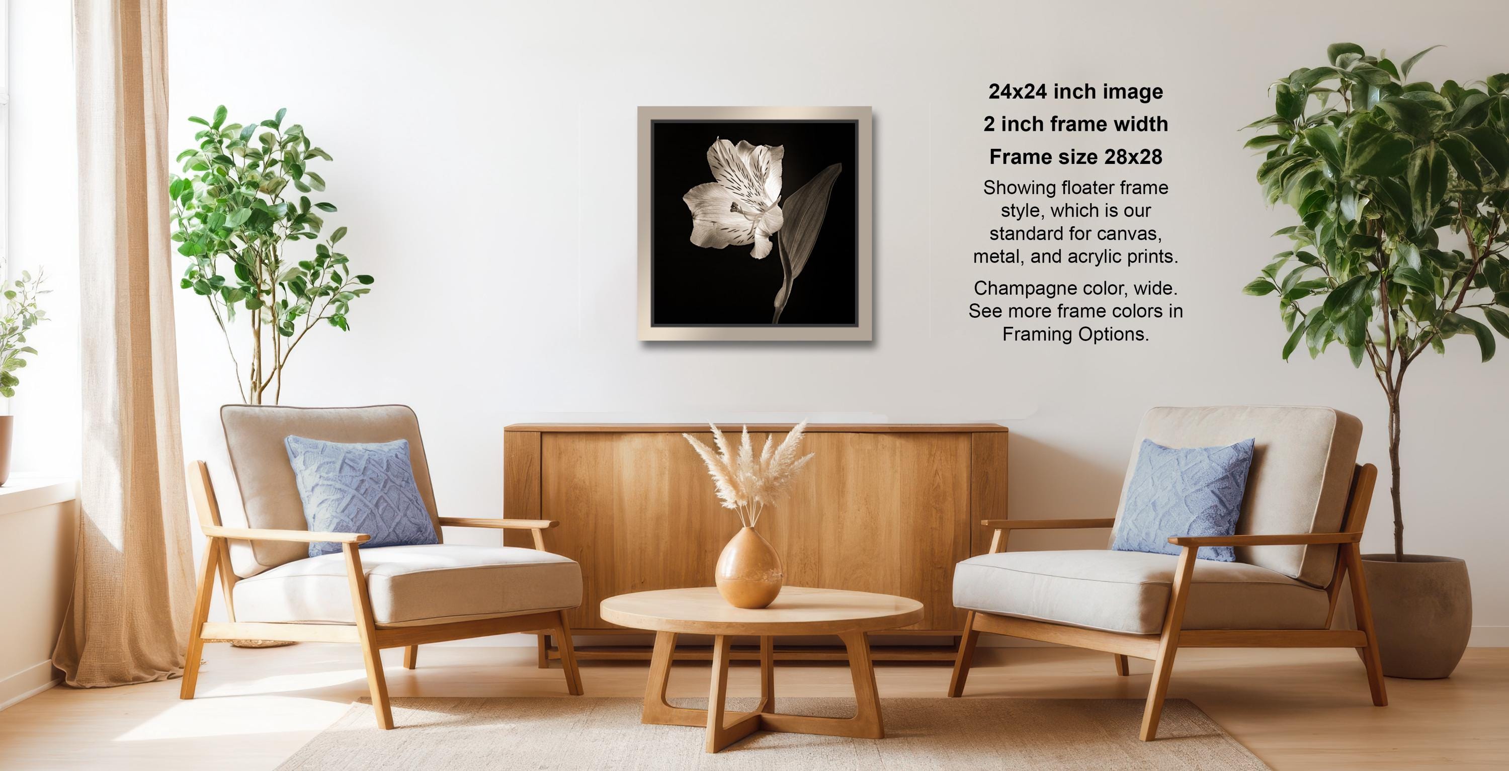 a cozy living room with two beige armchairs, a wooden coffee table, and a framed black and white photograph of a flower on the wall.