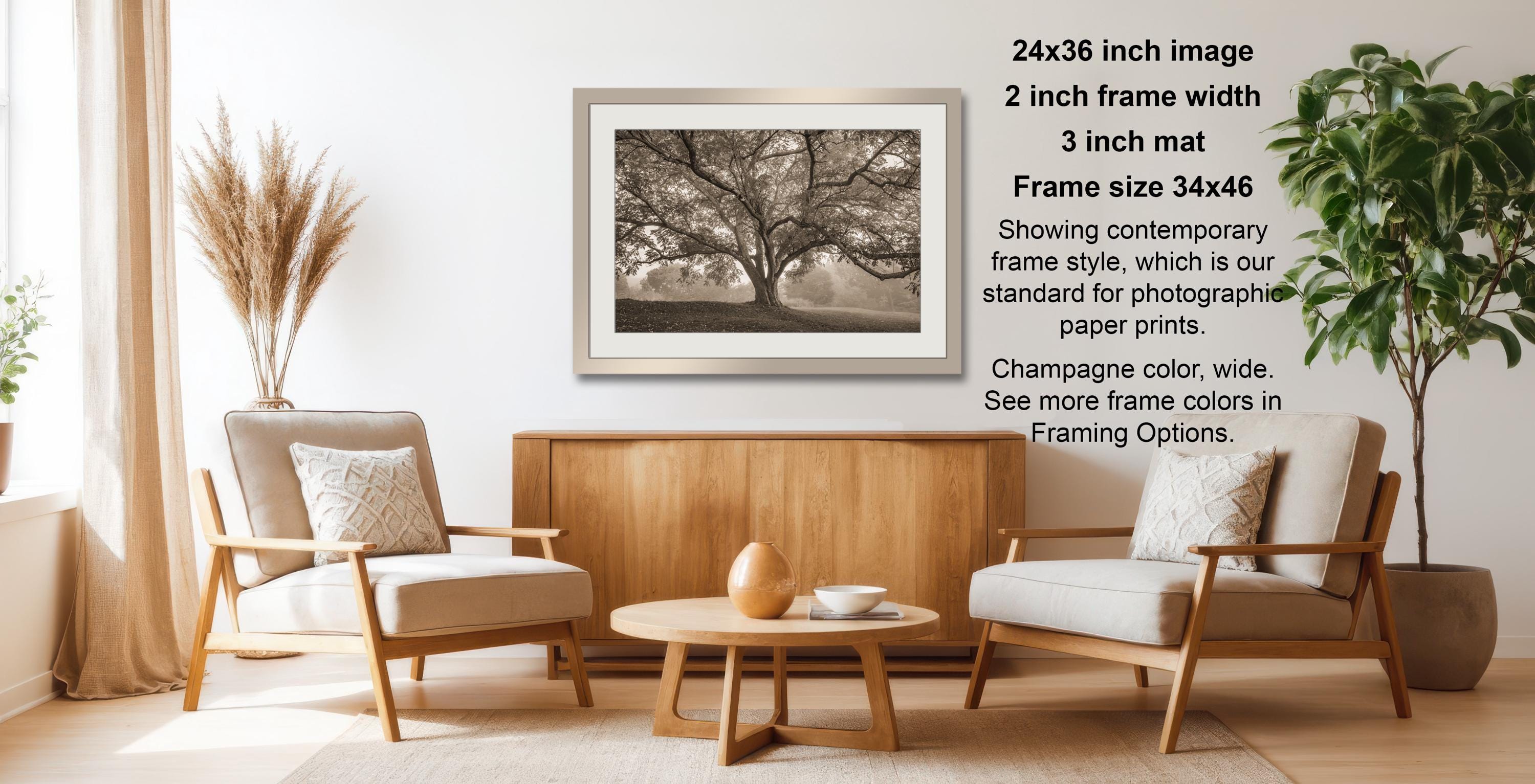 a cozy living room with a wooden coffee table, two beige armchairs, and a framed photograph of a tree hanging on the wall.