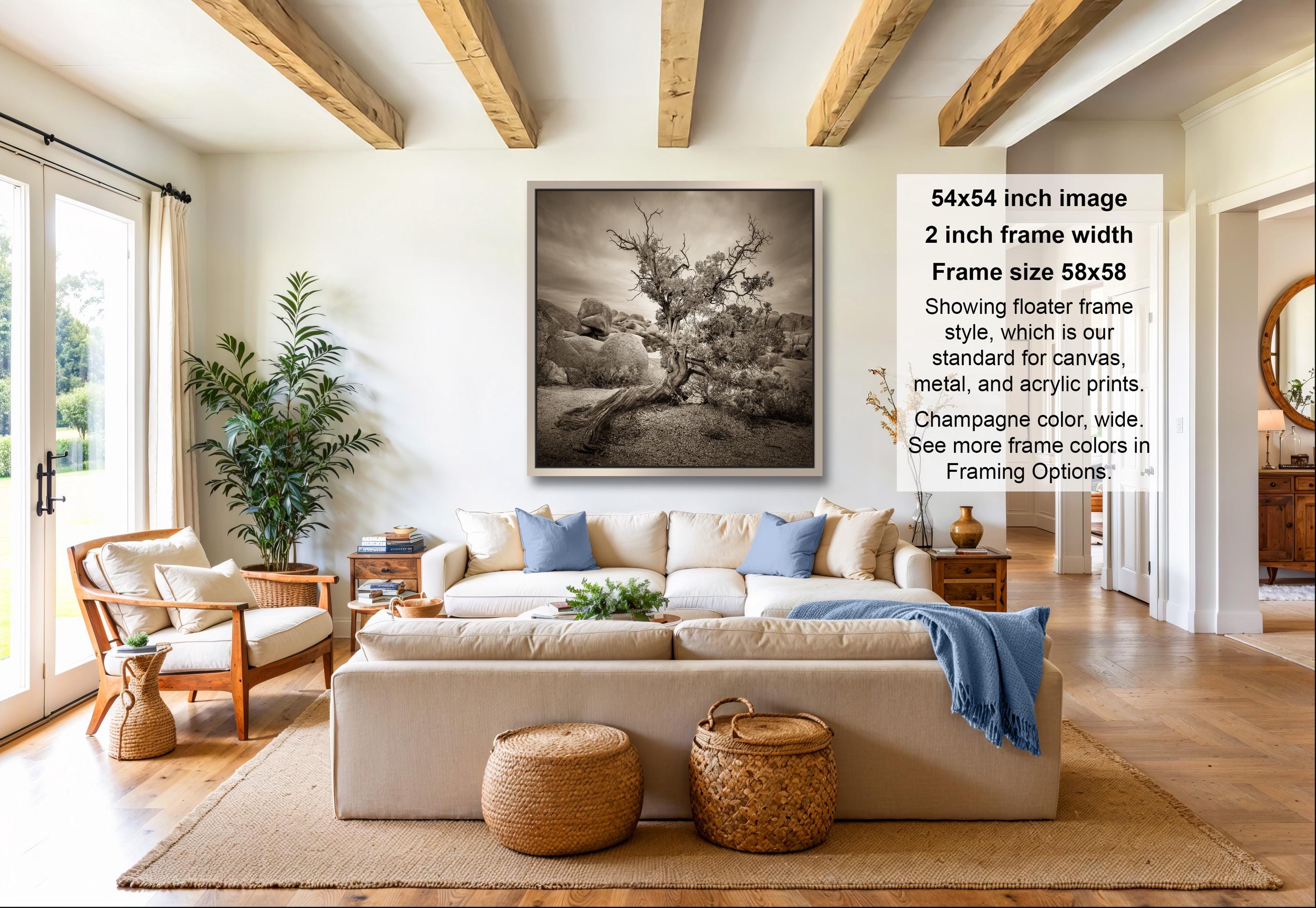 A living room with a large, framed black and white photograph of a tree on the wall. The room has a beige sofa, wooden chairs, and a large window overlooking a garden. The photograph appears to be of a desert landscape, with a sense of tranquility and natural beauty.