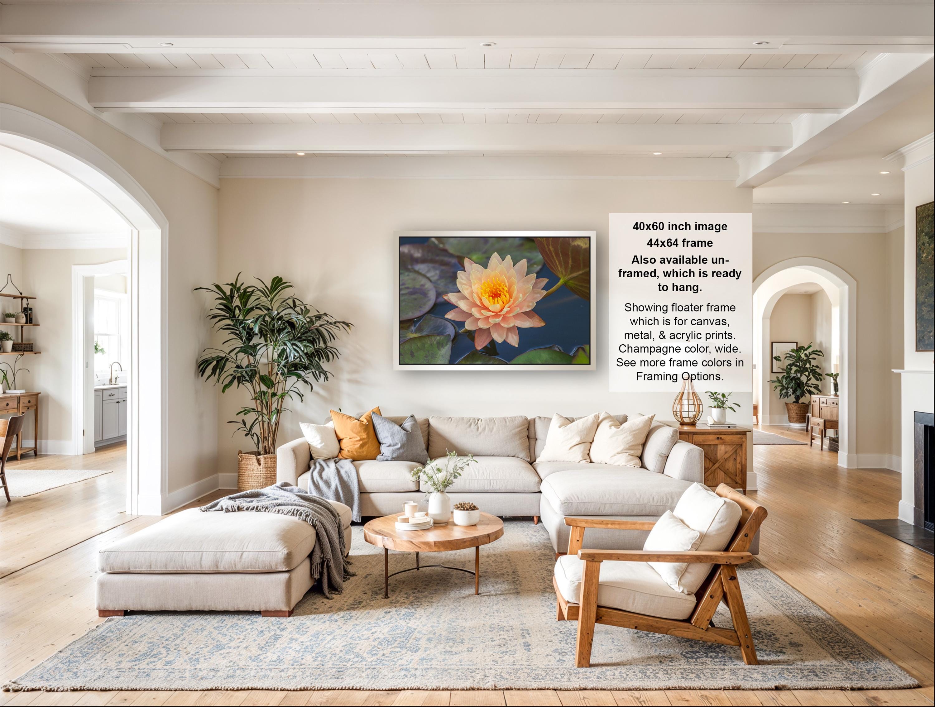 The image is a large framed picture of a water lily on a wall in a living room.