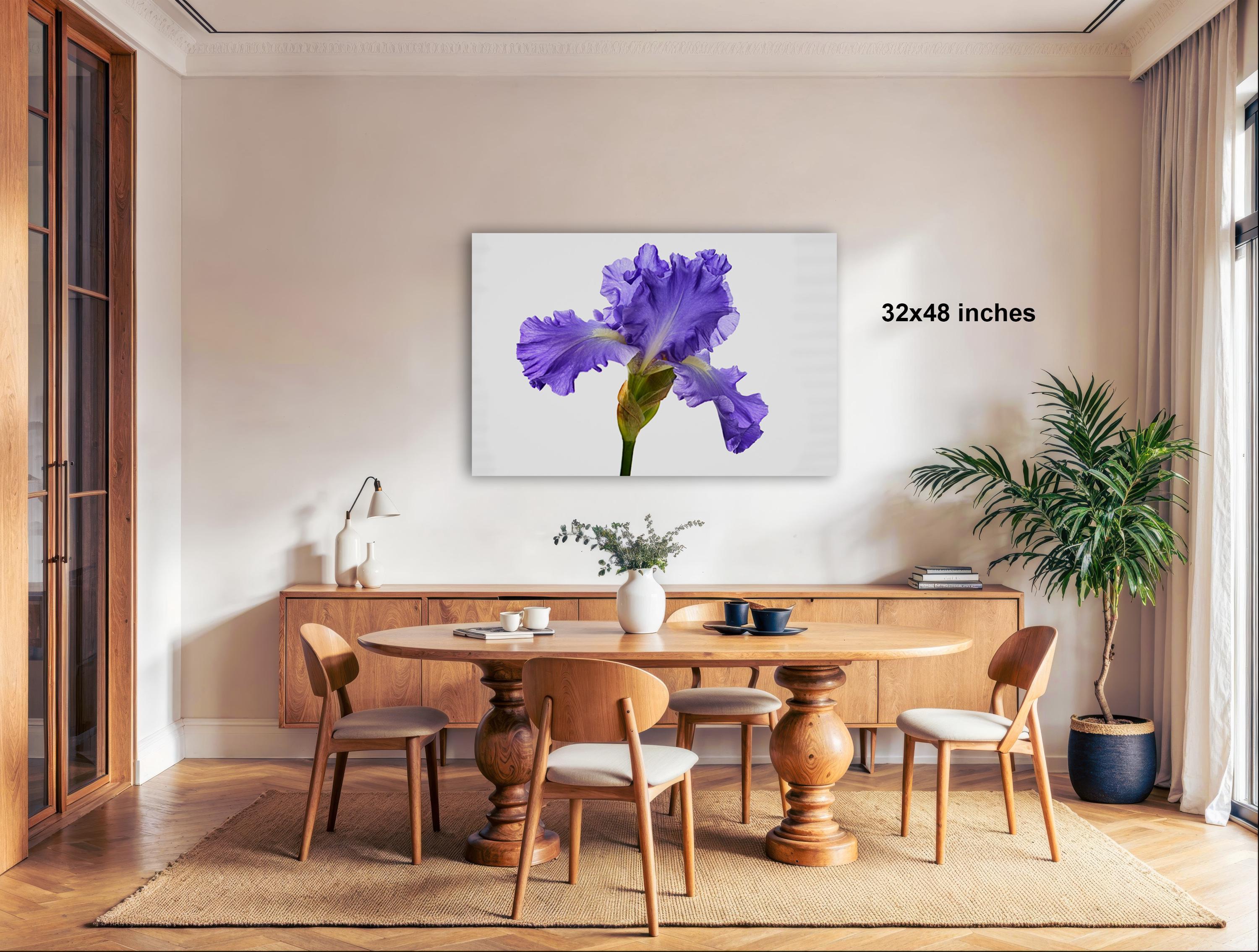 a dining room with a wooden table and chairs, a large framed purple flower on the wall, and a potted plant on the floor.