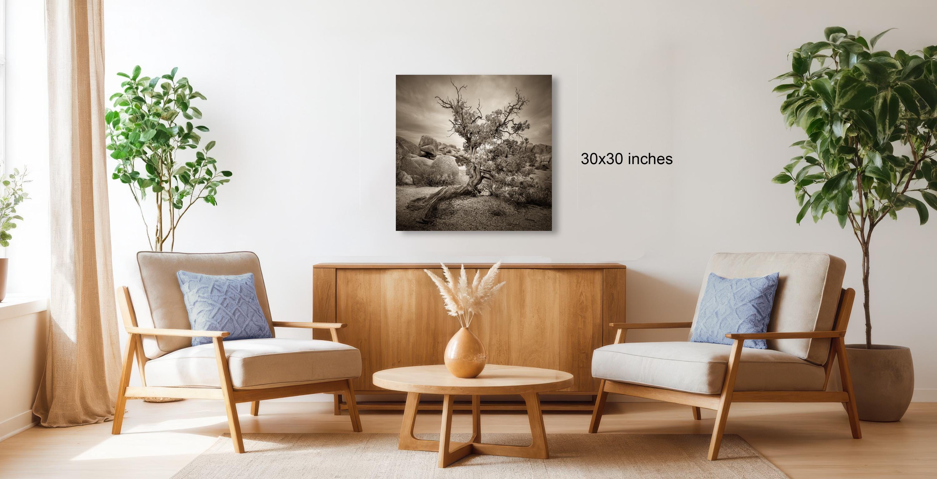 a living room with two armchairs, a coffee table, and a wooden cabinet. A framed black and white photograph of a tree is hanging on the wall above the furniture.
