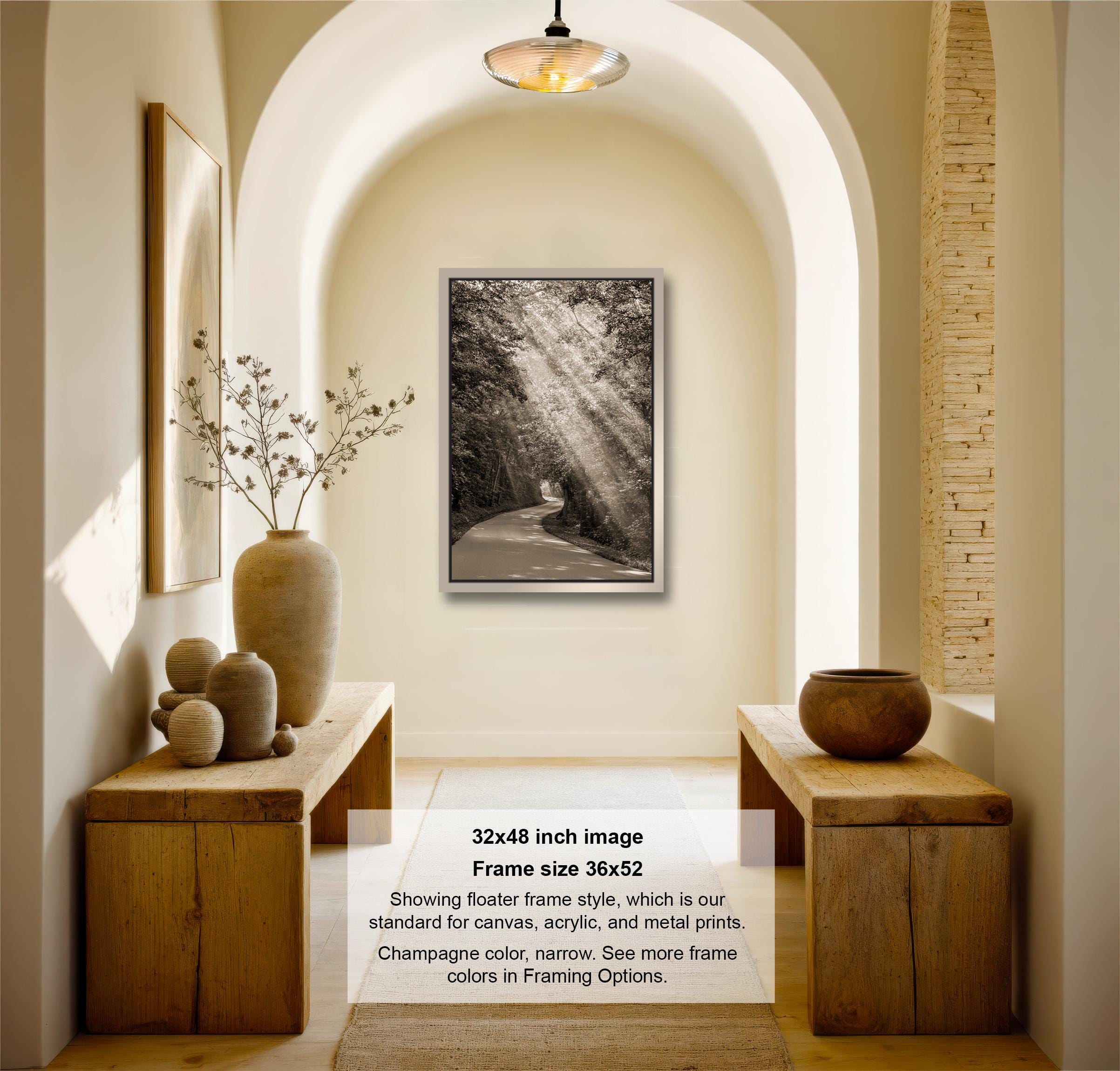 The image is a black and white photograph of a hallway with a framed picture hanging on the wall, wooden tables, and decorative items such as vases and a bowl.