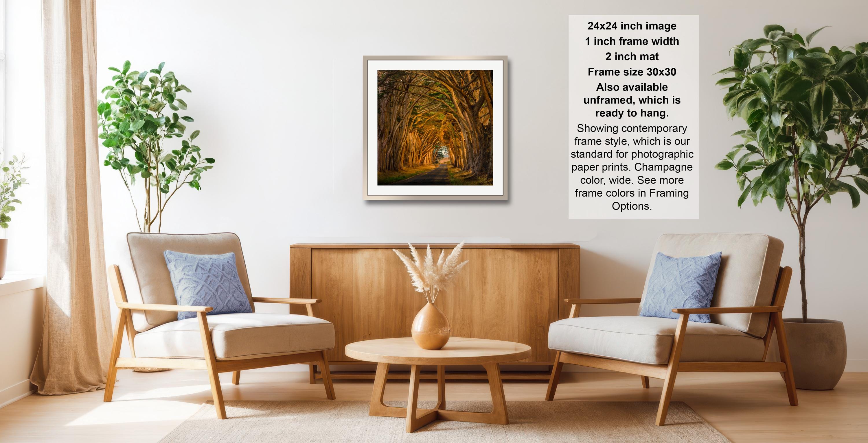 a cozy living room with a wooden coffee table, two beige armchairs, and a framed photograph of a tree-lined path. The photograph is framed in a modern style and is hanging on the wall.