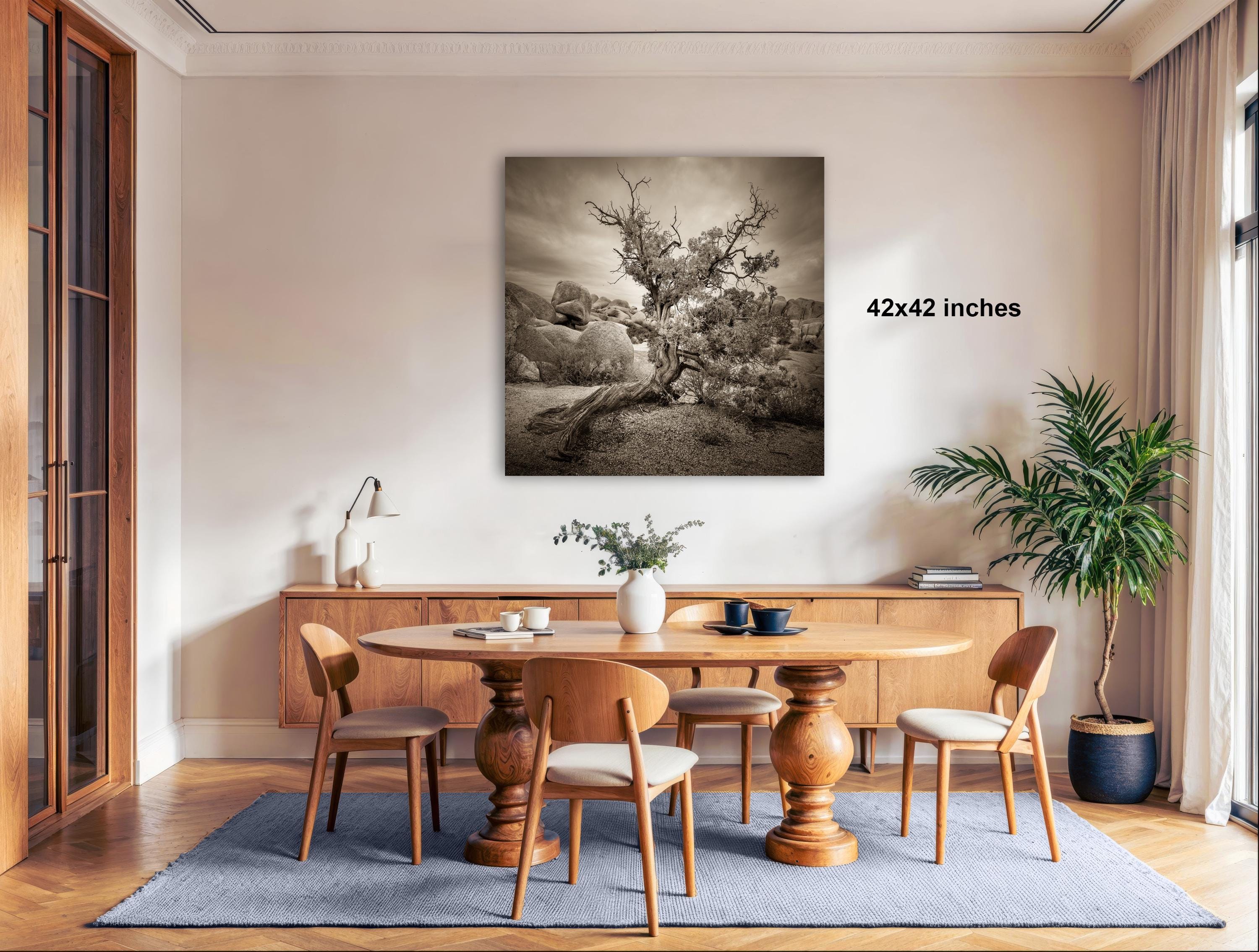 a dining room with a large wooden table surrounded by matching chairs. A large black and white photograph of a tree is hanging on the wall above the table. The room has a modern and minimalist design, with a large window providing natural light and a potted plant adding a touch of greenery.