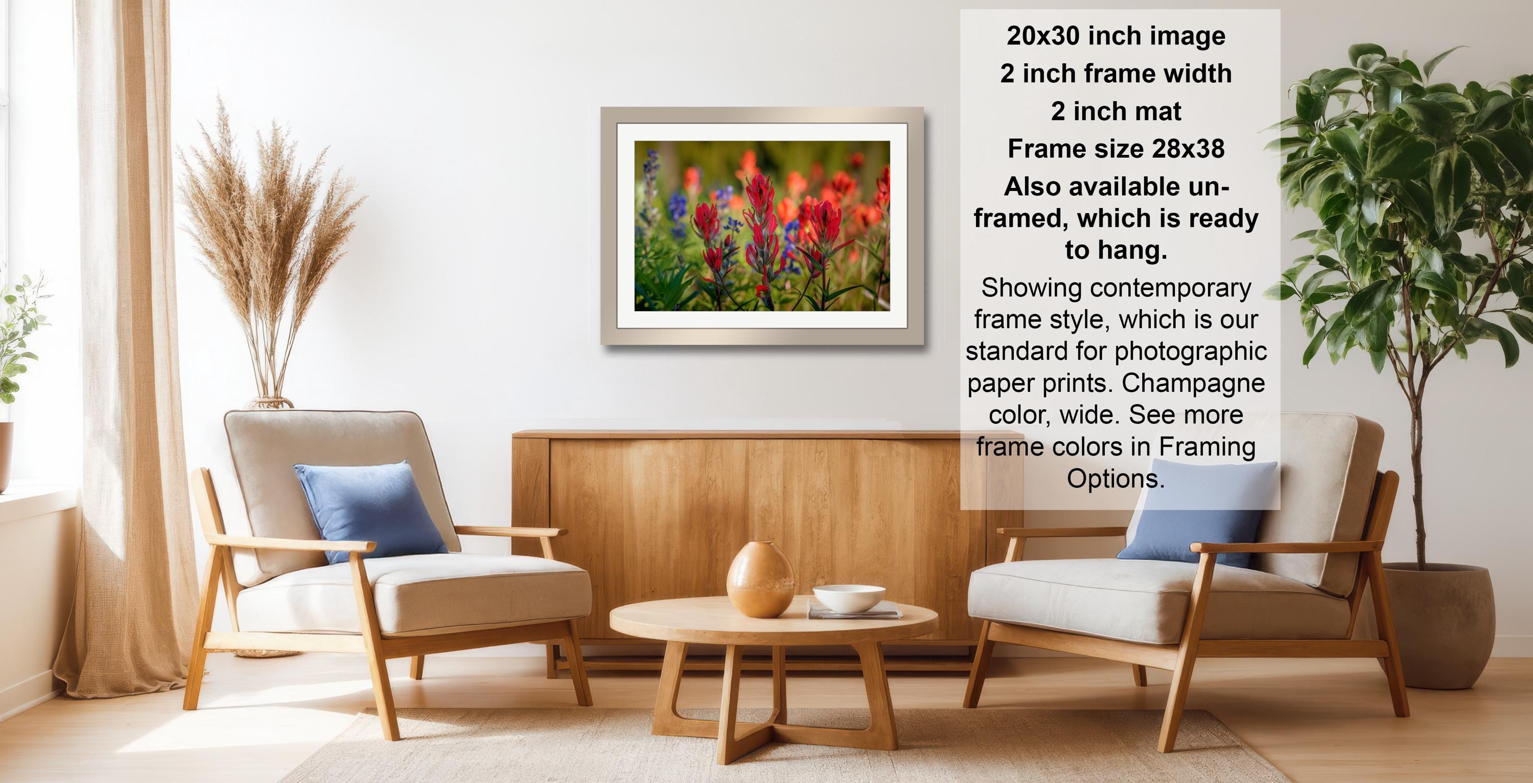 a living room with a framed photograph of a field of flowers hanging on the wall. The room has two armchairs, a coffee table, and a potted plant. The photograph is framed in a modern style, and the frame size is 28.38 inches wide. The frame is available in both 2-inch and 2-inch mat sizes, and it is ready to hang. The photograph is showing contemporary frame style, which is our standard for photographic paper prints. Champagne color, see more frame colors in Framing Options.