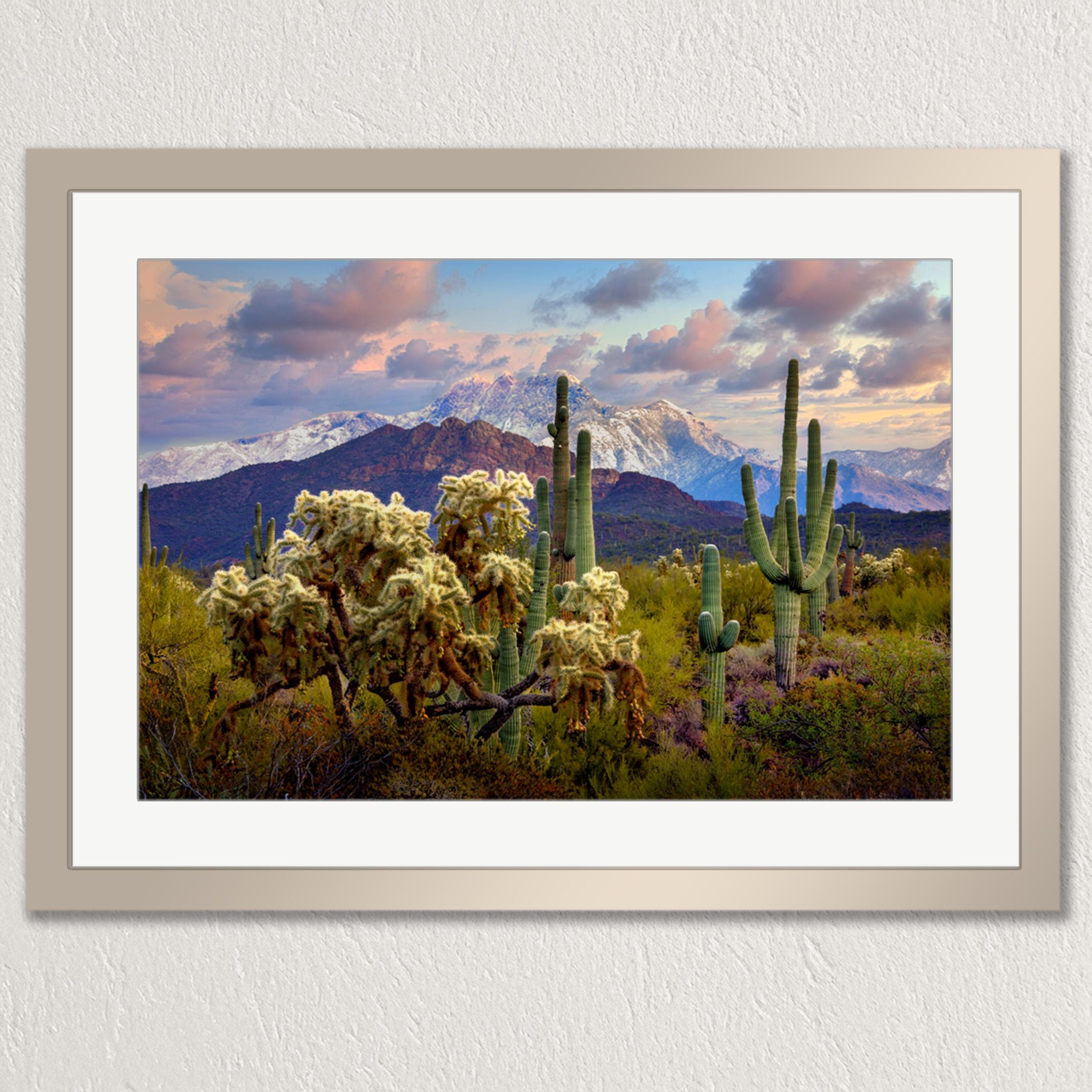 a desert landscape with a variety of cacti and shrubs, set against a backdrop of snow-capped mountains under a colorful sky.
