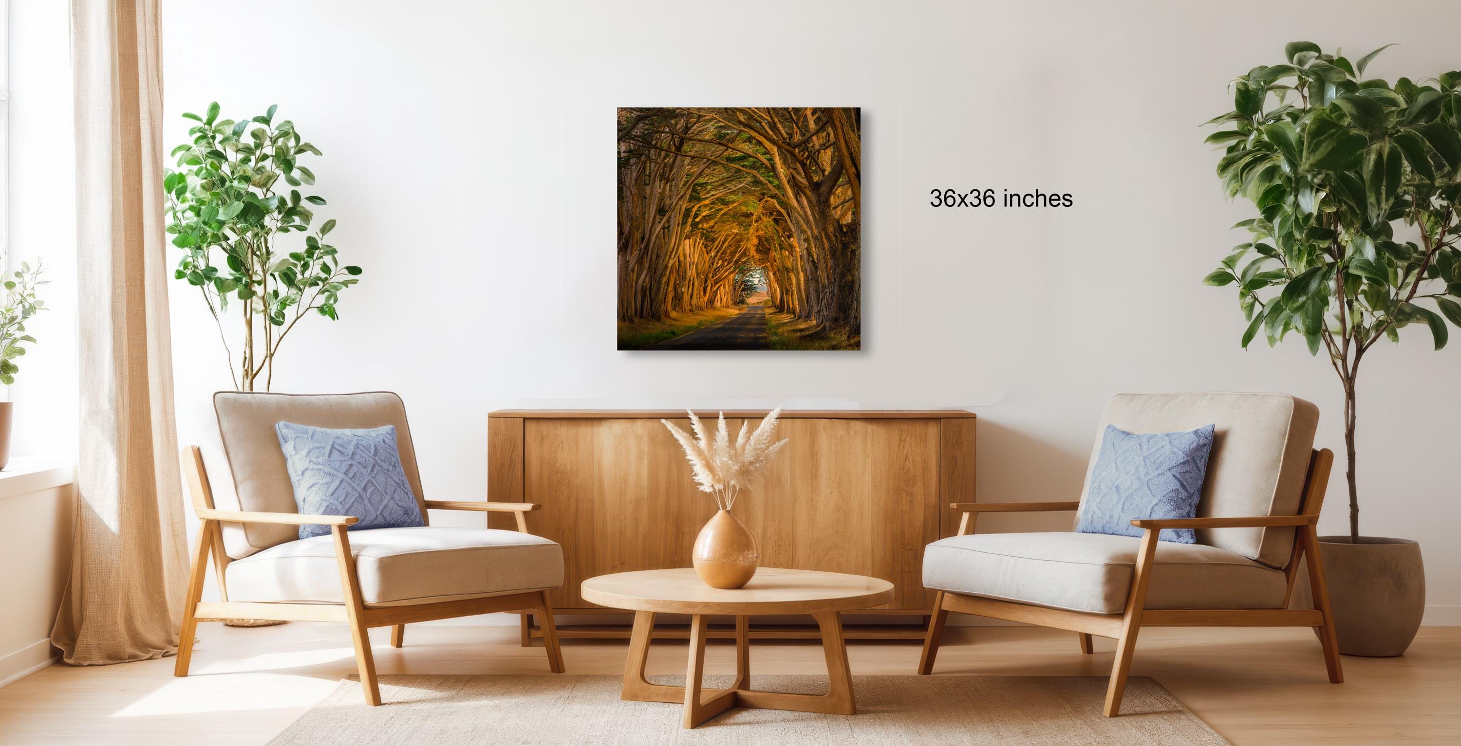 a cozy living room with two armchairs, a coffee table, and a wooden cabinet. Above the furniture, there is a framed picture of a tree-lined path. The room is decorated with potted plants and a vase, creating a warm and inviting atmosphere.