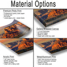 Material Options