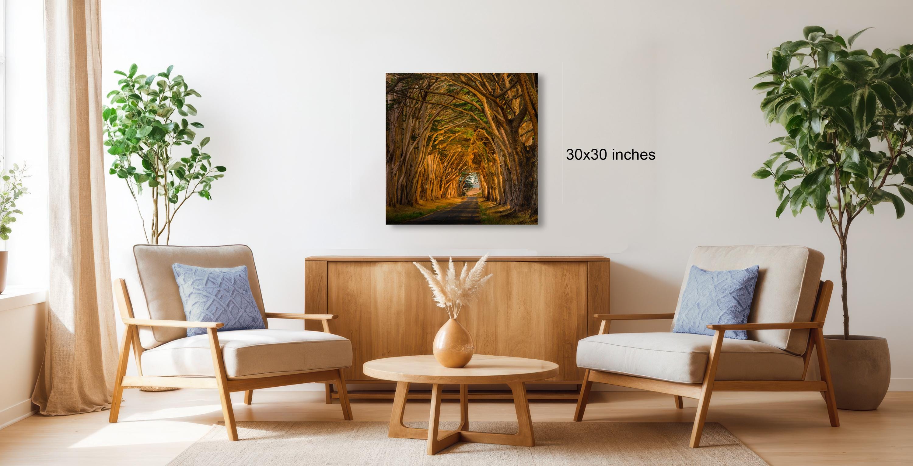 a cozy living room with a wooden coffee table, two armchairs, and a potted plant. A framed photograph of a tree-lined path is hanging on the wall, adding a natural element to the space.