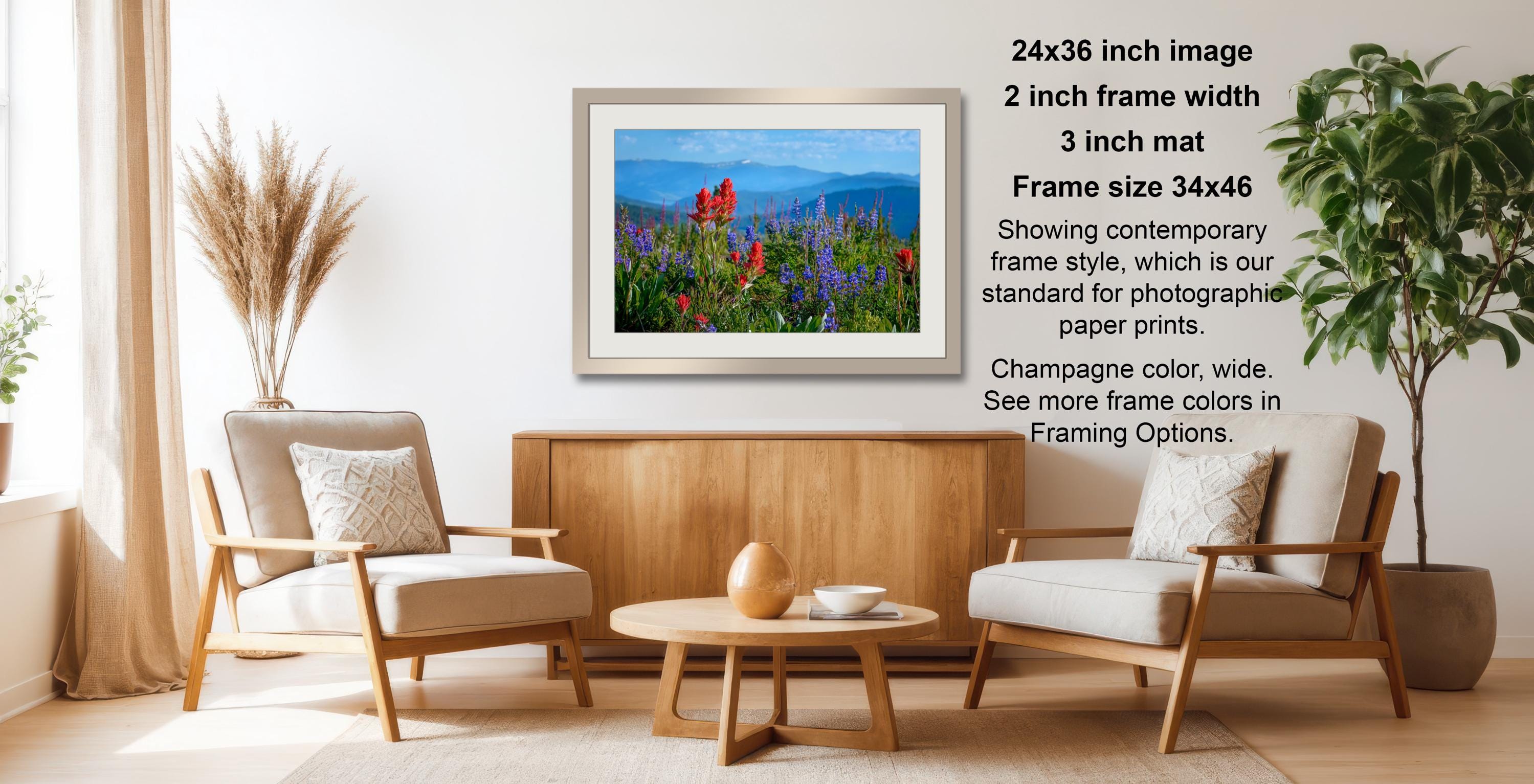 a living room with a wooden coffee table, two white chairs, and a framed photograph of a field of red flowers. The photograph is framed in a 2x3 grid and is hanging on a white wall. The image also includes text providing information about the frame size, color, and framing options.