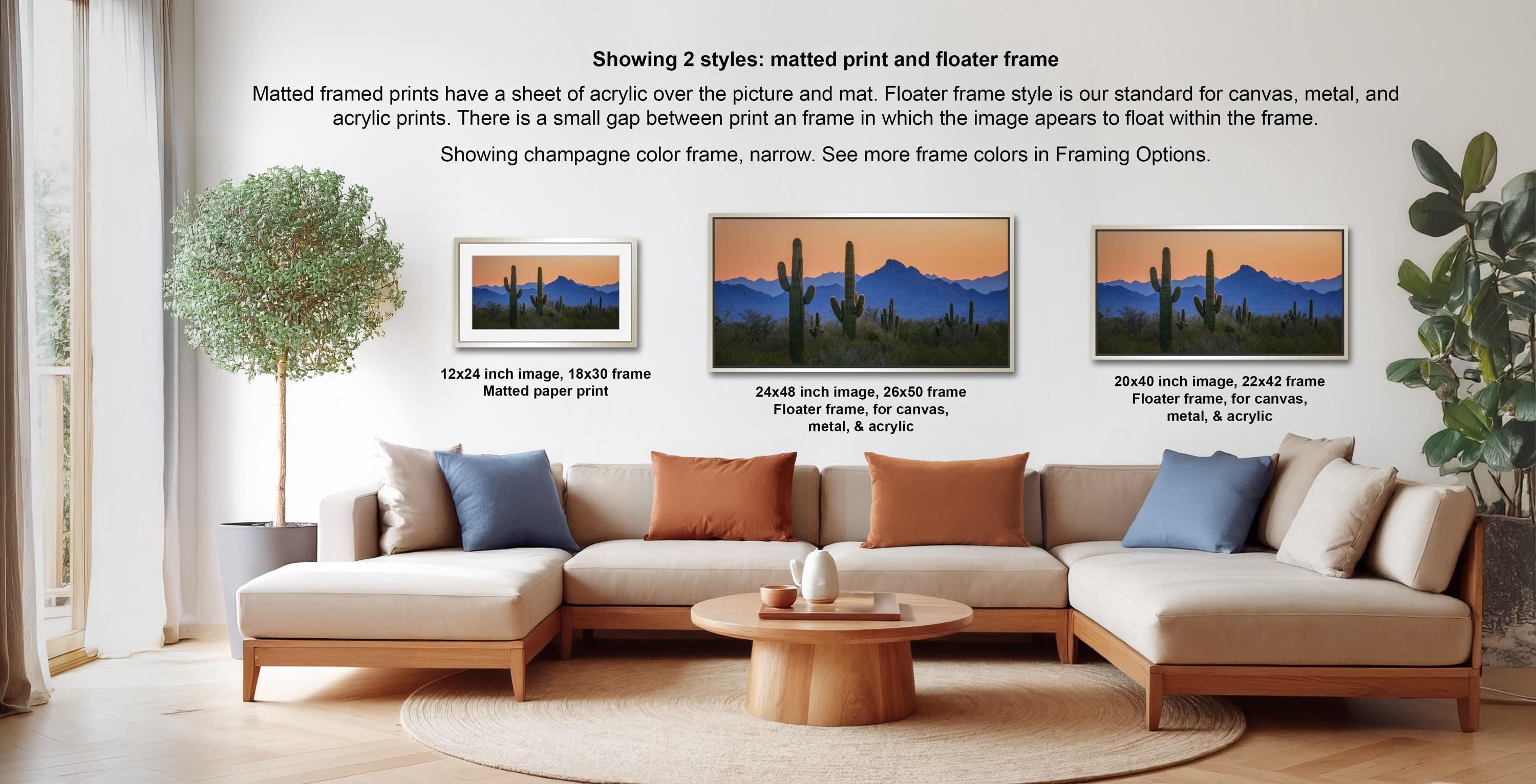 a living room with a large sectional sofa, a coffee table, and a potted plant. There are three framed prints displayed on the wall, each with a different frame style and size. The text provides information about the framed prints, including their sizes and frame styles.