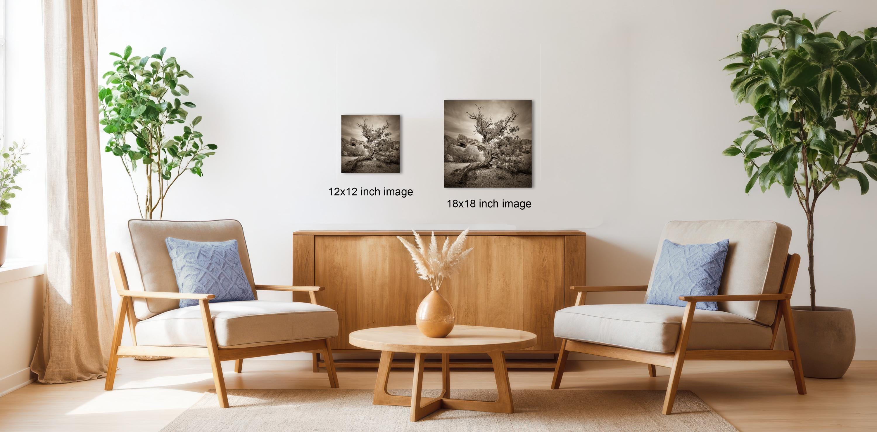 a cozy living room with two comfortable armchairs, a wooden coffee table, and two potted plants. The room is decorated with a wooden cabinet and a vase of flowers, creating a warm and inviting atmosphere.