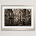 A black and white photograph of a serene forest scene, with tall trees and a calm body of water reflecting their trunks and branches.