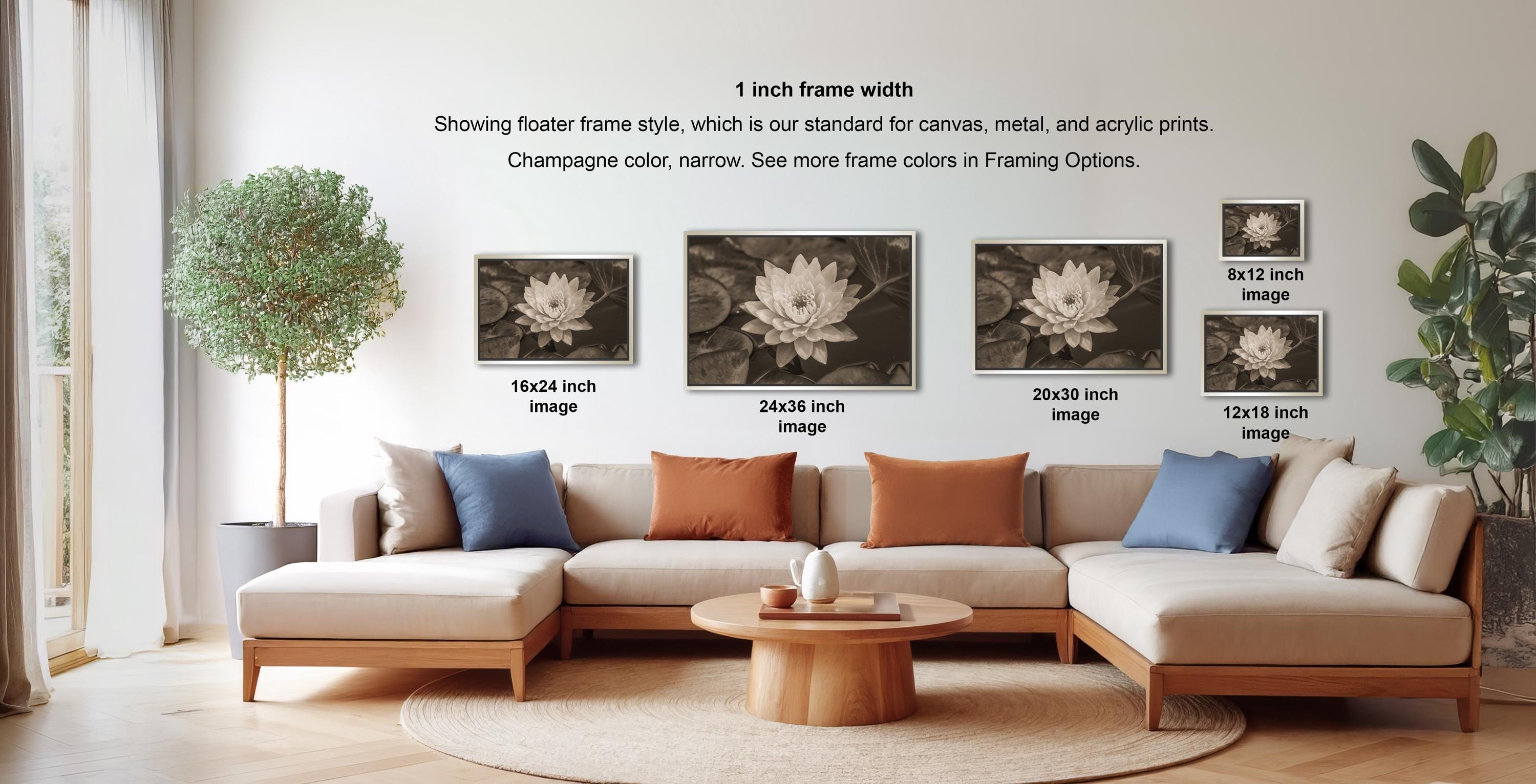 a living room with a large sectional sofa, a coffee table, and a potted plant. There are four framed black and white photographs of lilies displayed on the wall, each with a different frame size ranging from 16" to 20" inches. The text on the wall indicates that the frame width is 1 inch, and the photographs are showing the standard frame style for canvas, metal, and acrylic prints.