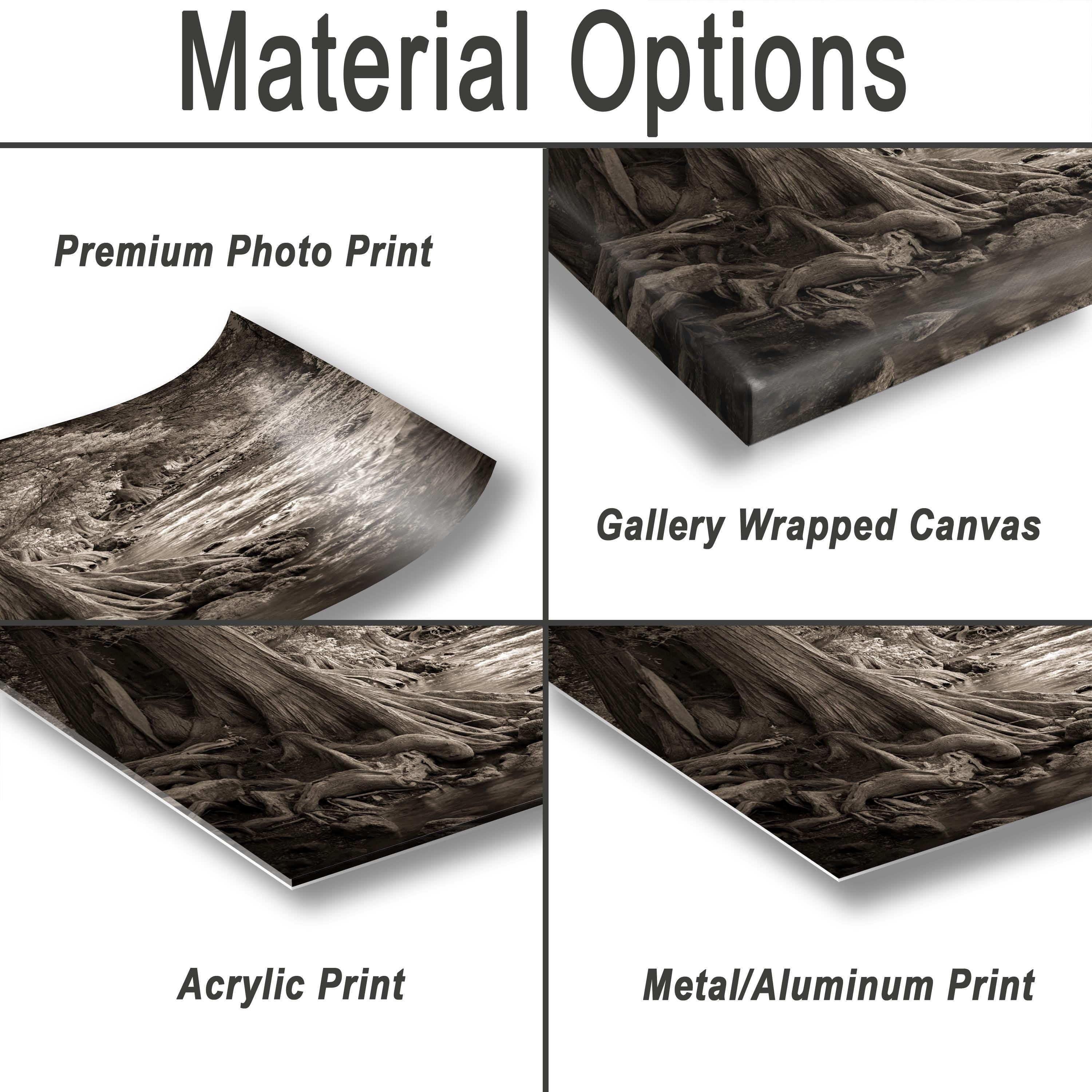 The image is a collage of four different print options for a photograph, including a premium photo print, a gallery wrapped canvas, an acrylic print, and a metal/aluminum print.