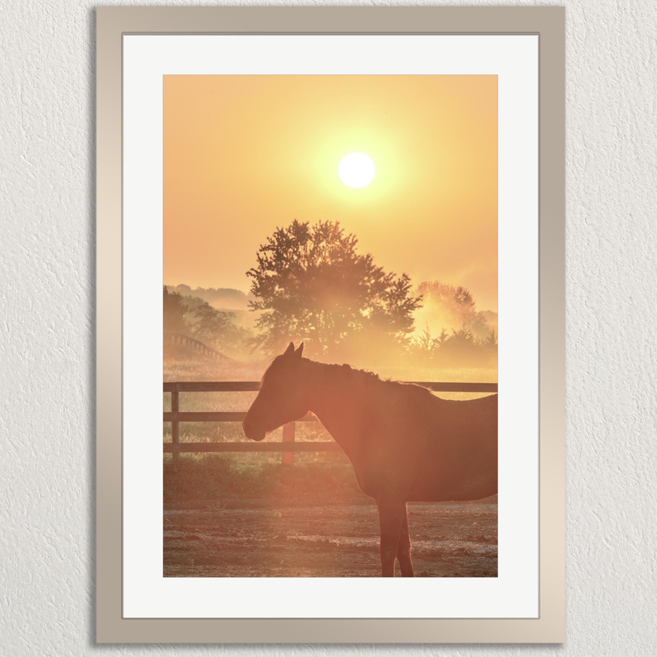 A horse silhouetted against a vibrant orange and yellow sunset sky, standing in a field enclosed by a fence.