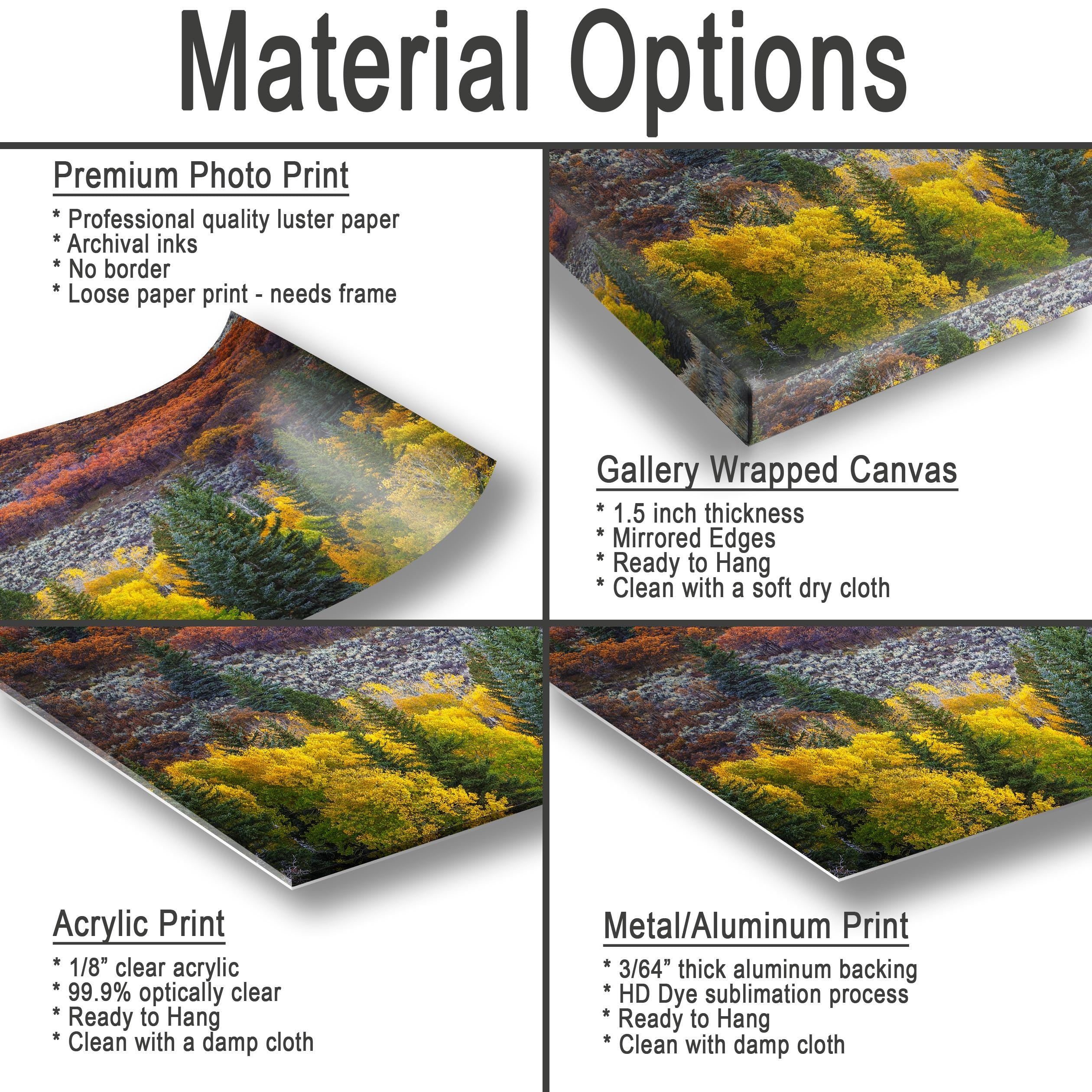 Material Options
