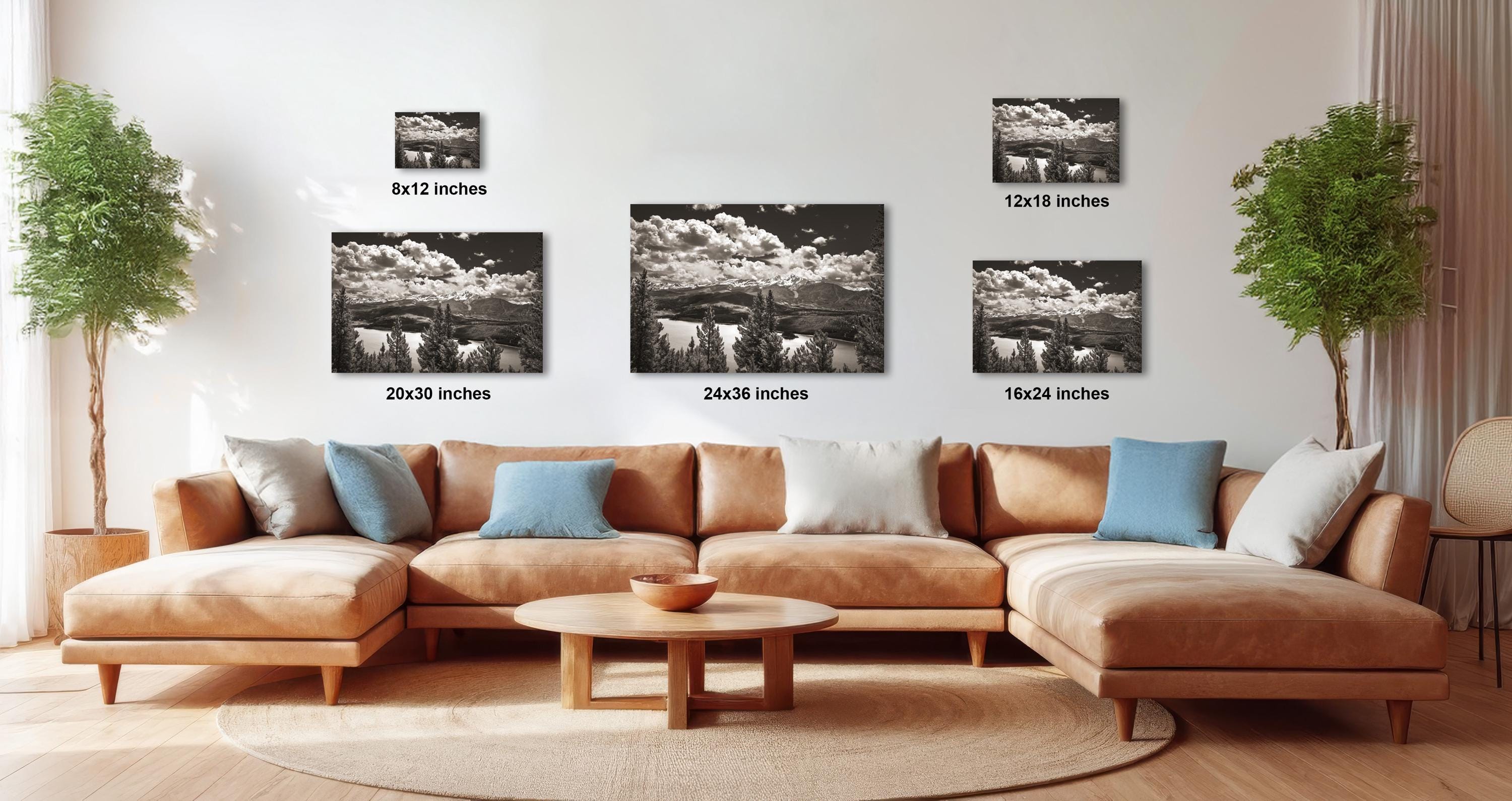 a modern living room with a large sectional sofa, a coffee table, and several potted plants. The walls are adorned with three framed black and white landscape photographs, each varying in size and resolution. The photographs are arranged in a grid-like pattern, with the largest one at the top and the smallest at the bottom. The room has a warm and inviting atmosphere, with the furniture and decor complementing the overall design.