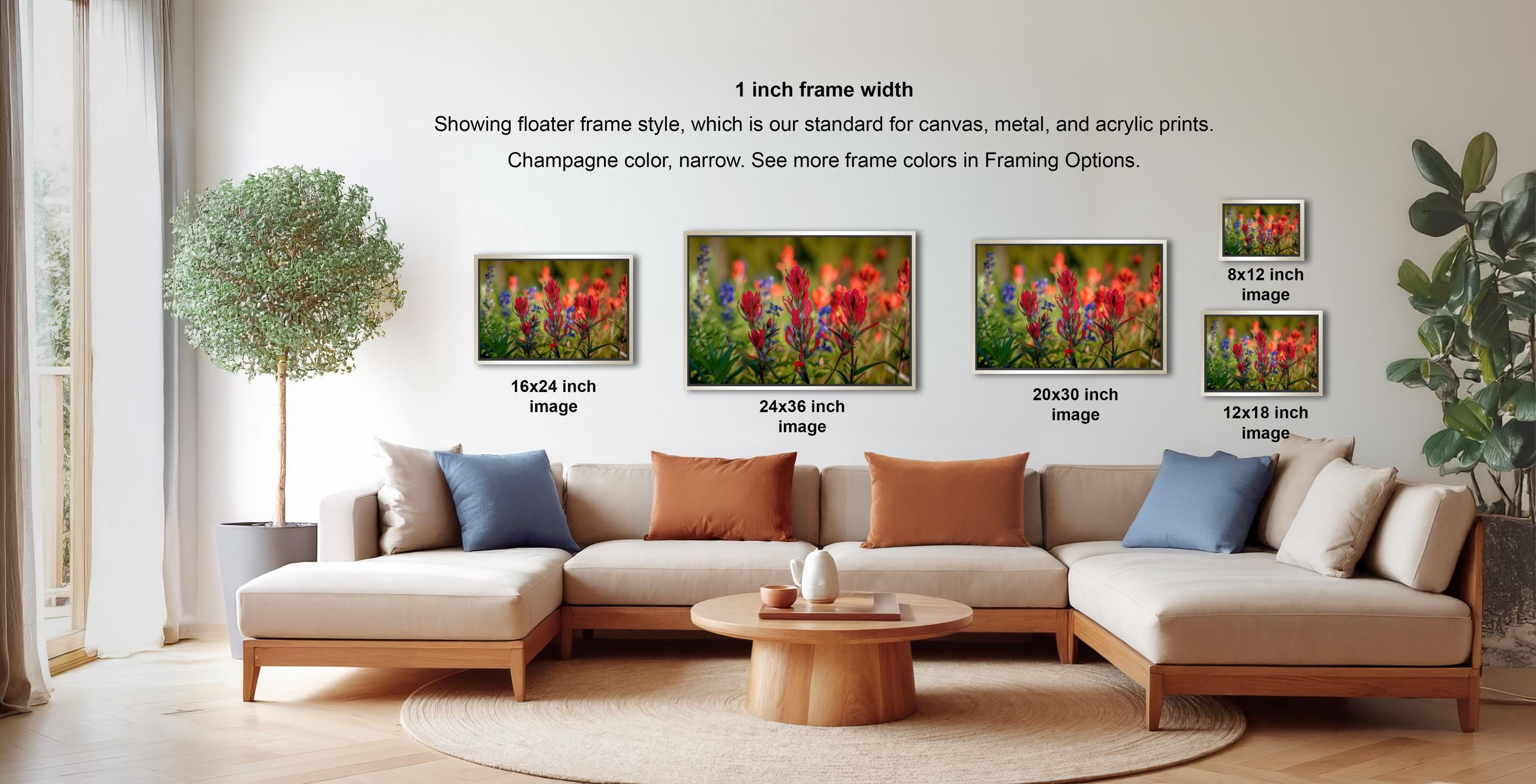 The image is a living room with a large sectional sofa and a coffee table. There are four framed photographs of flowers displayed on the wall, each with a different frame size ranging from 16" to 20" inches. The wall also features text providing information about the frame widths and sizes.