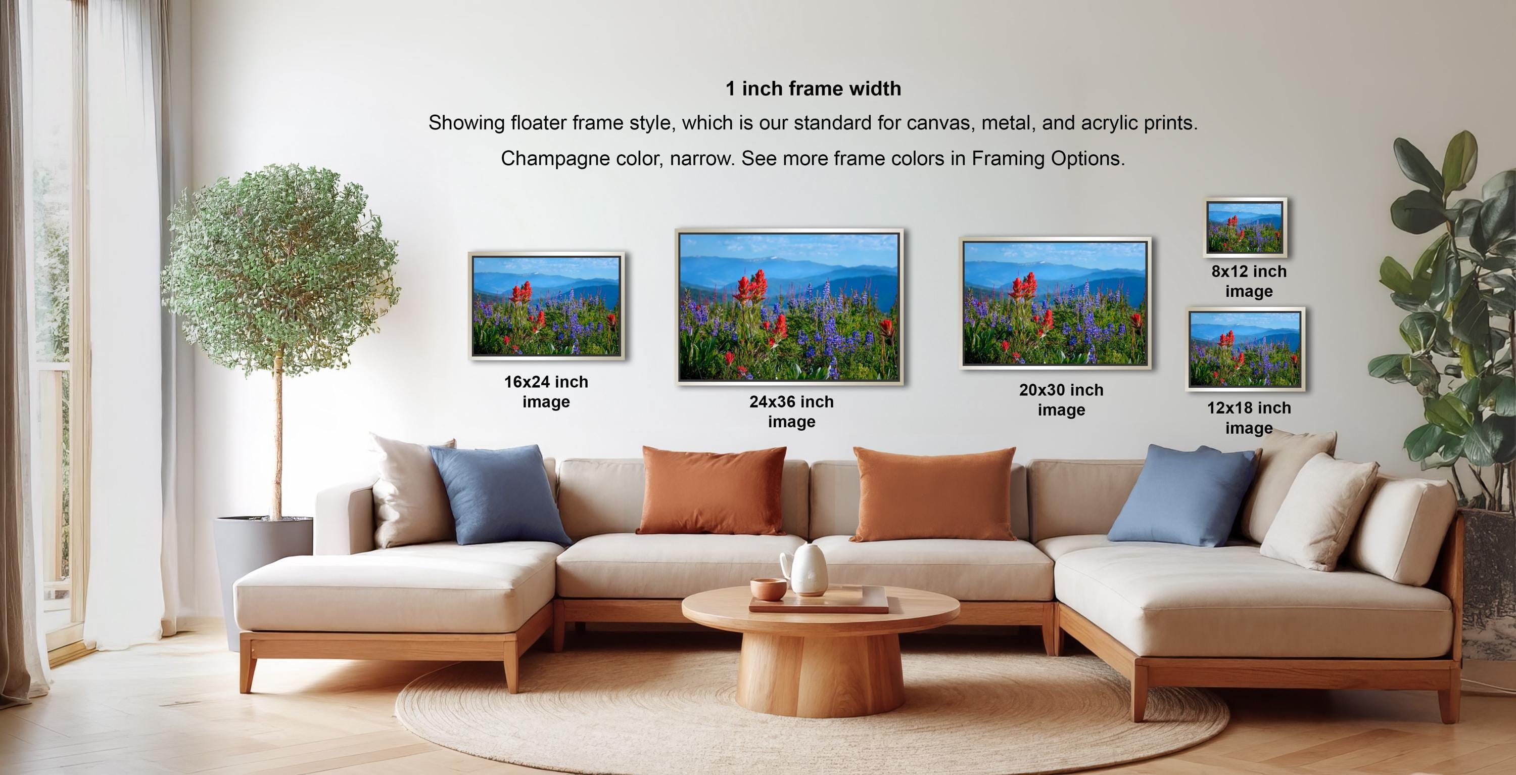 a living room with a large sectional sofa, a coffee table, and a potted plant. There are four framed landscape photographs displayed on the wall, each with a different frame size ranging from 16.24 to 20.30 inches. The photographs depict various scenes, including a field of flowers and mountains.