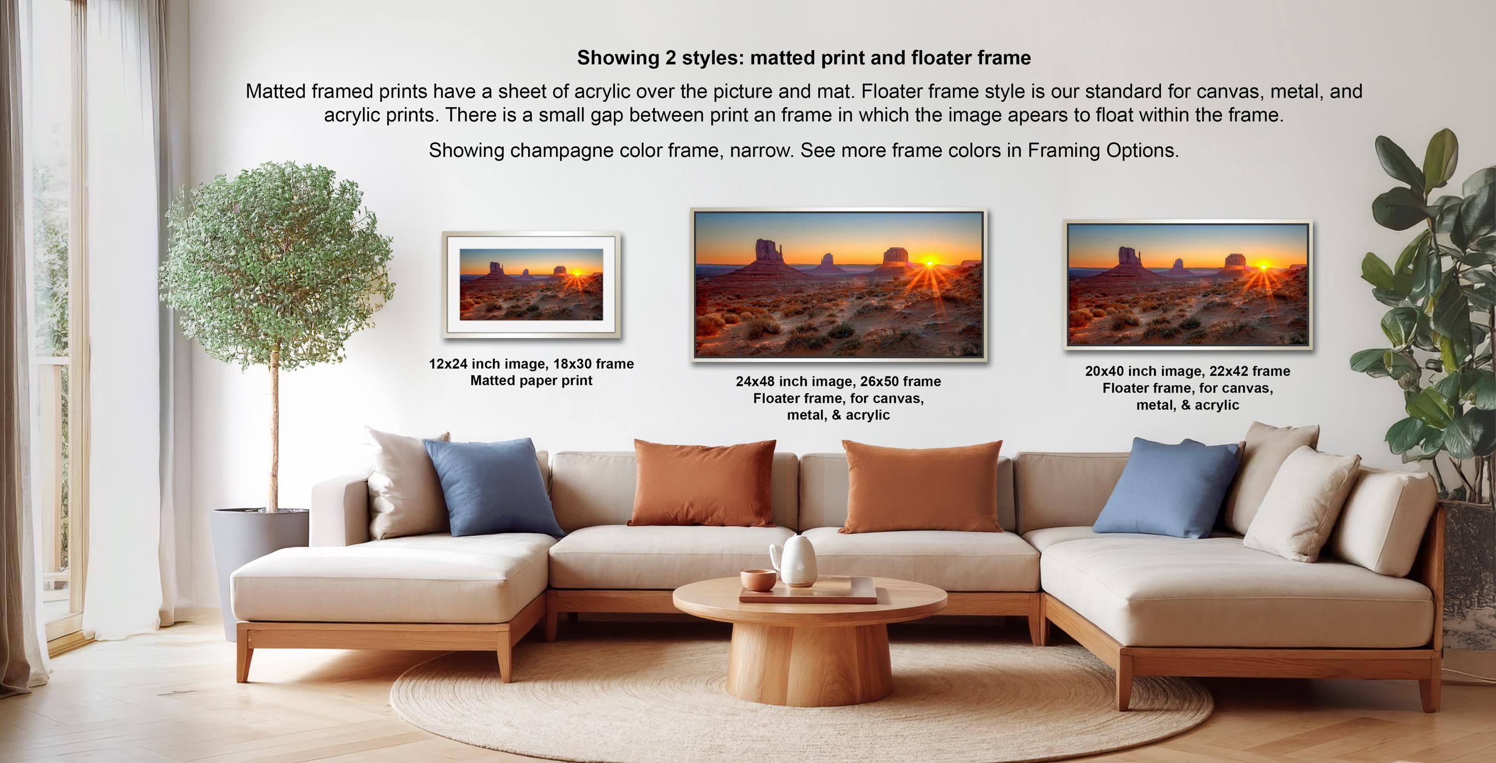 a living room with a large sofa and a coffee table, along with a potted plant and a framed print of a desert landscape. The sofa is arranged in a semi-circle around the coffee table, creating a cozy and inviting atmosphere. The framed print is displayed on the wall, showcasing the desert landscape in a matured print and floater frame style.
