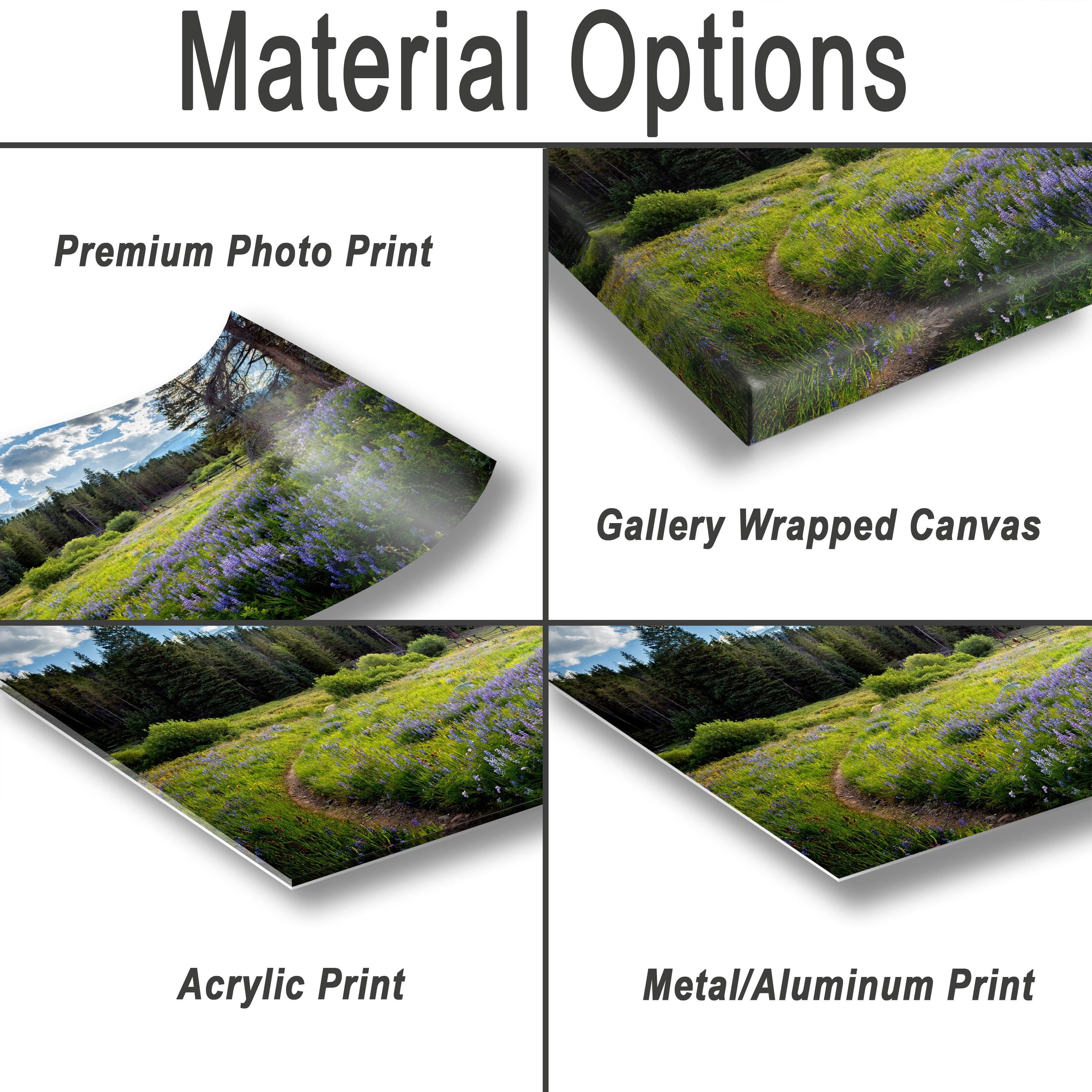 The image is a collage of four different types of print options for a landscape photograph, including a premium photo print, a gallery wrapped canvas, an acrylic print, and a metal/aluminum print.
