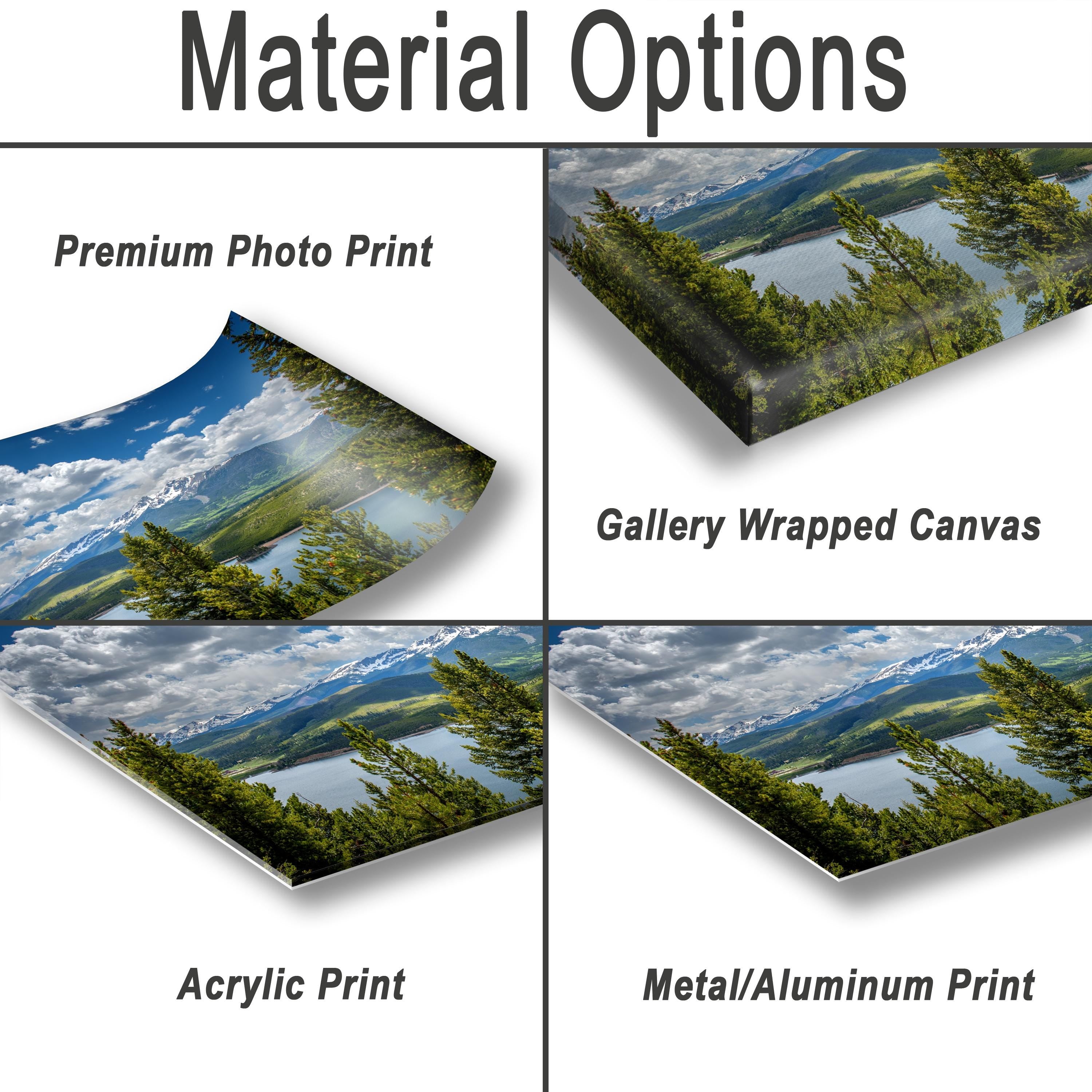 various types of print materials, including a premium photo print, a gallery wrapped canvas, an acrylic print, and a metal/aluminum print.