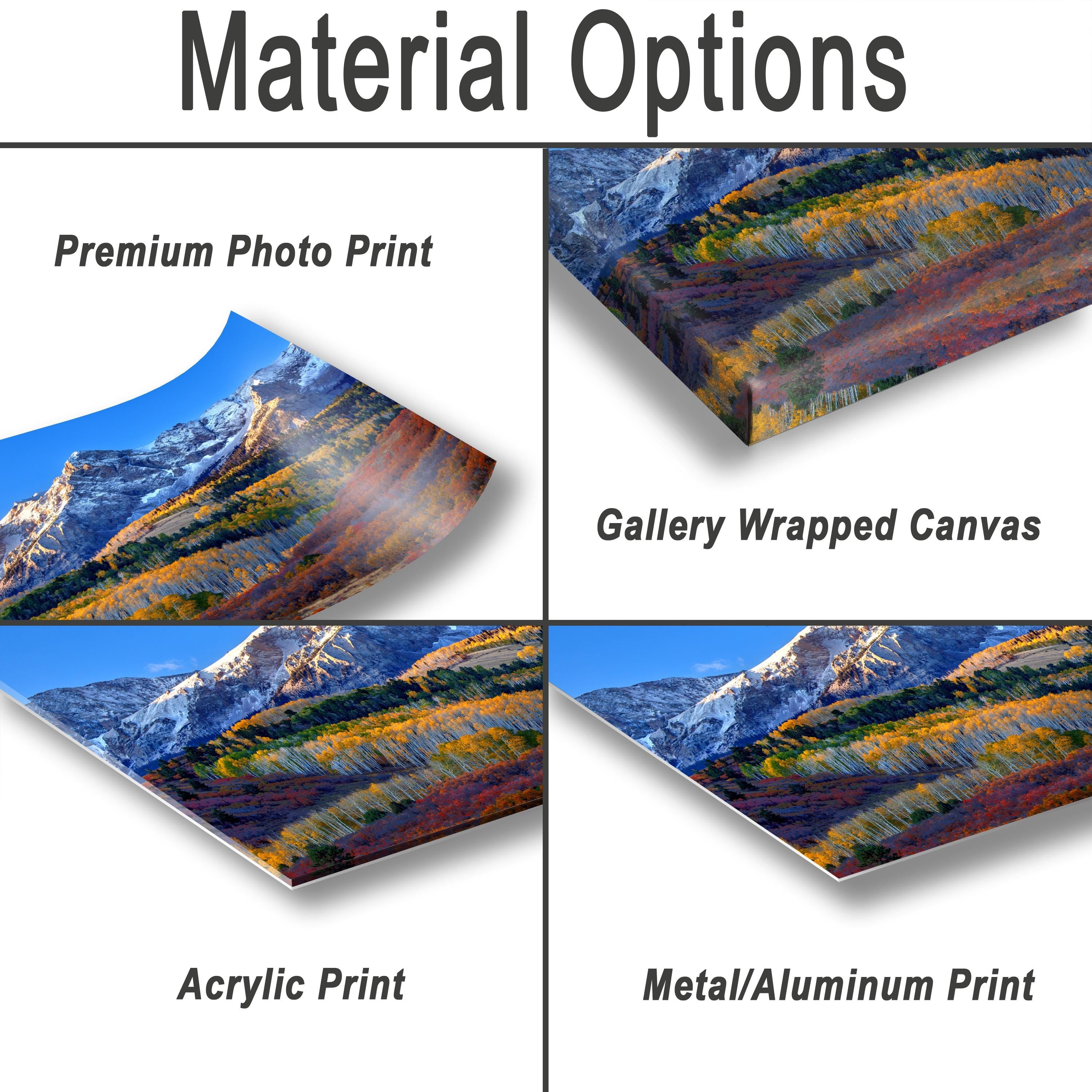 various types of print materials, including a premium photo print, a gallery wrapped canvas, an acrylic print, and a metal/aluminum print.