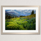 a picturesque mountain landscape with a lush green meadow filled with yellow flowers, surrounded by a forest and a clear blue sky with fluffy white clouds.
