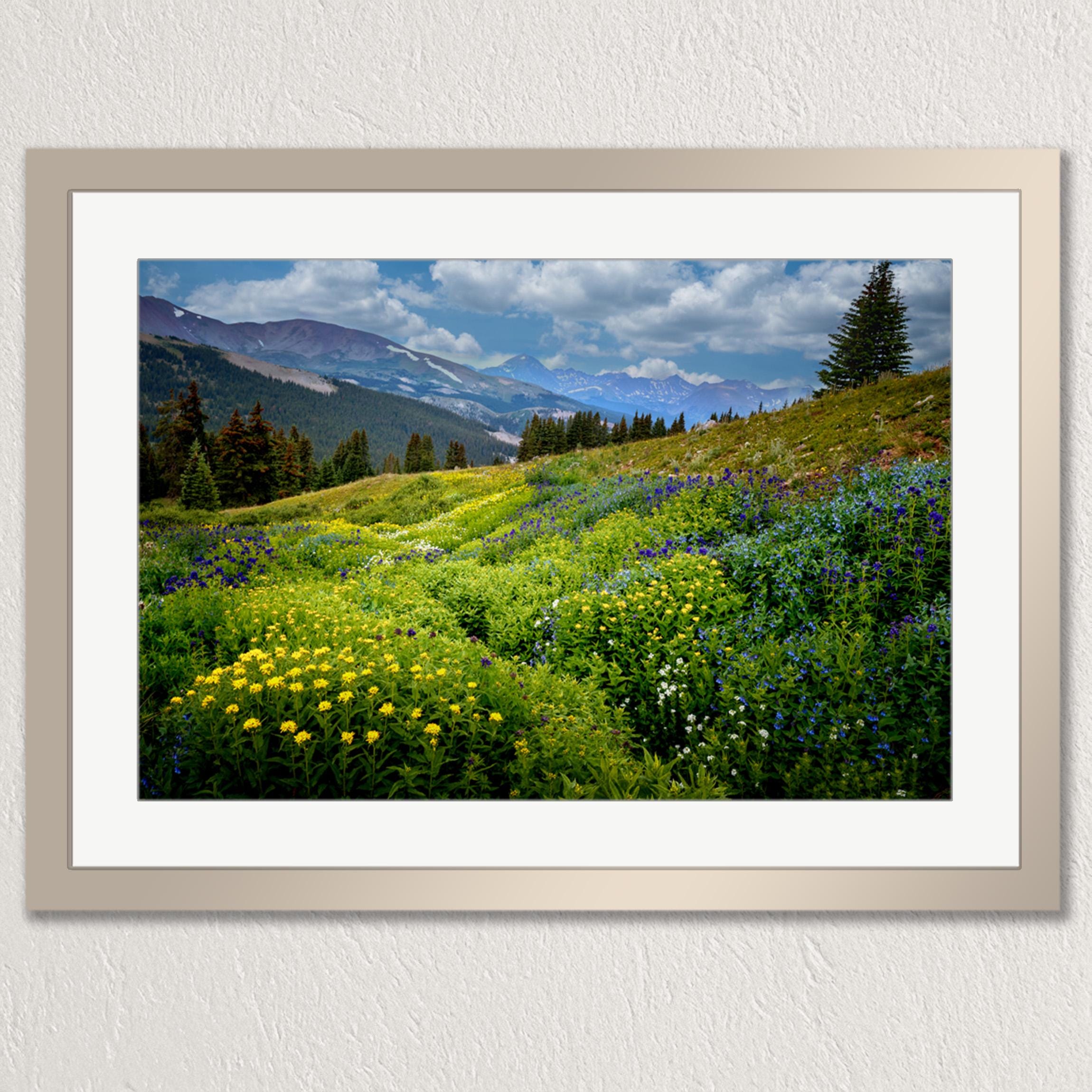 a picturesque mountain landscape with a lush green meadow filled with yellow flowers, surrounded by a forest and a clear blue sky with fluffy white clouds.