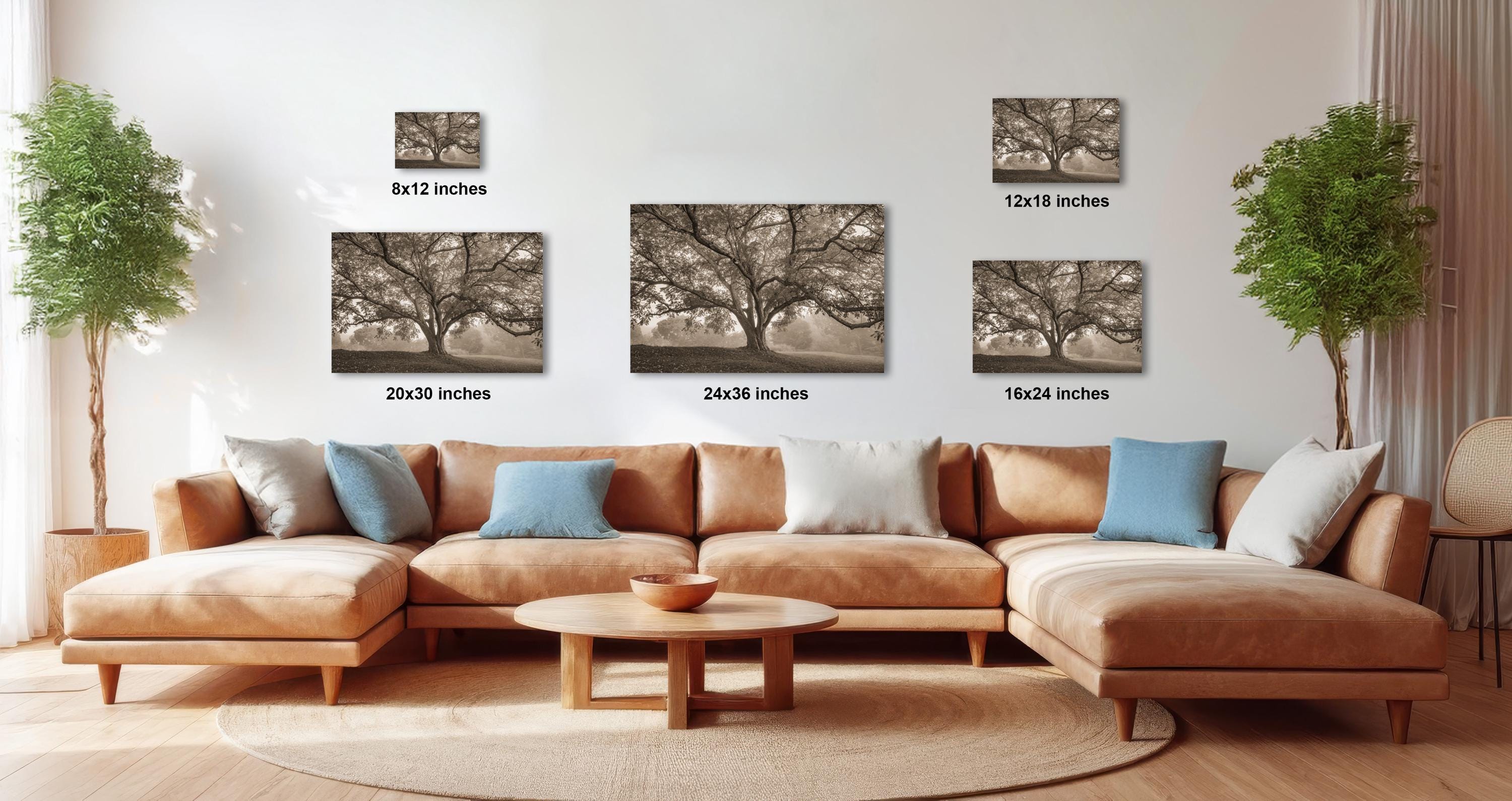 a modern living room with a large sectional sofa, a coffee table, and several potted plants. The sofa is positioned in front of a wall with three framed photographs of trees, each with a different size and resolution. The coffee table is placed in front of the sofa, creating a cozy and inviting atmosphere.