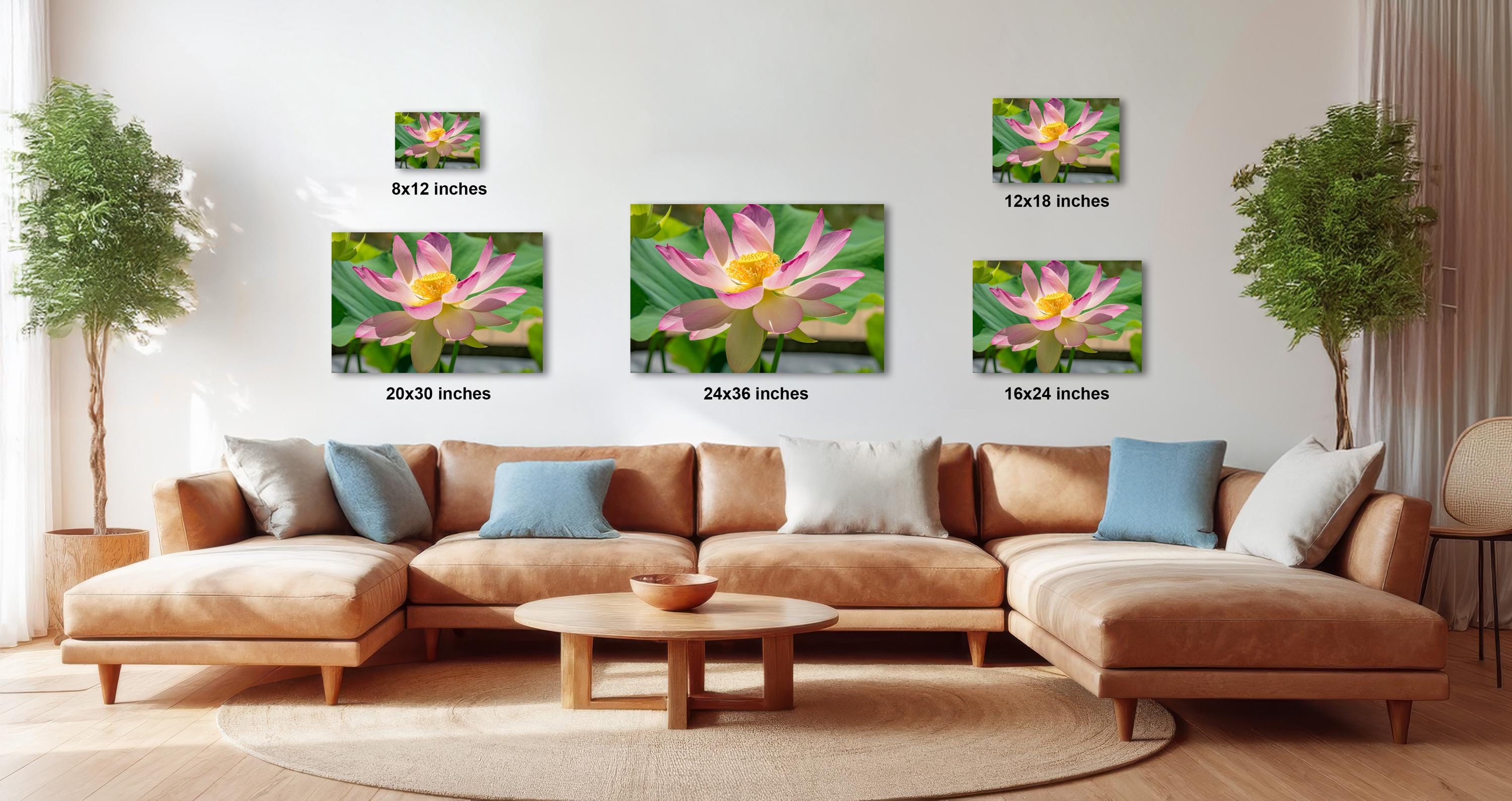 a living room with a large brown sectional sofa, a wooden coffee table, and several potted plants. There are three framed photographs of a pink lotus flower displayed on the wall above the sofa. The photographs vary in size, with the largest one being 24 inches in height and the smallest one being 12 inches in height.
