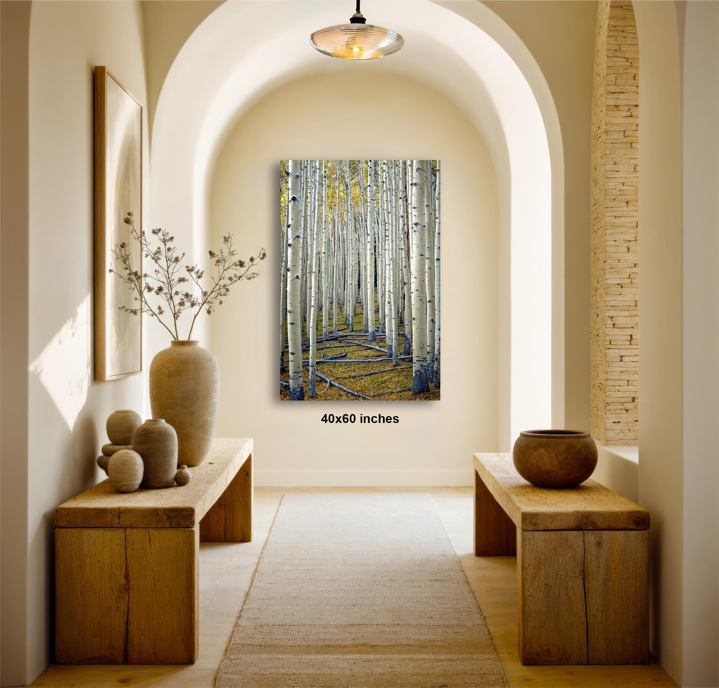 a hallway with a large painting of a forest scene hanging on the wall. The painting features a path leading through a grove of tall trees with white bark and green foliage. The hallway is decorated with wooden benches, a vase with flowers, and a bowl on a table. The painting is framed in a square format and measures 4060 inches in size.
