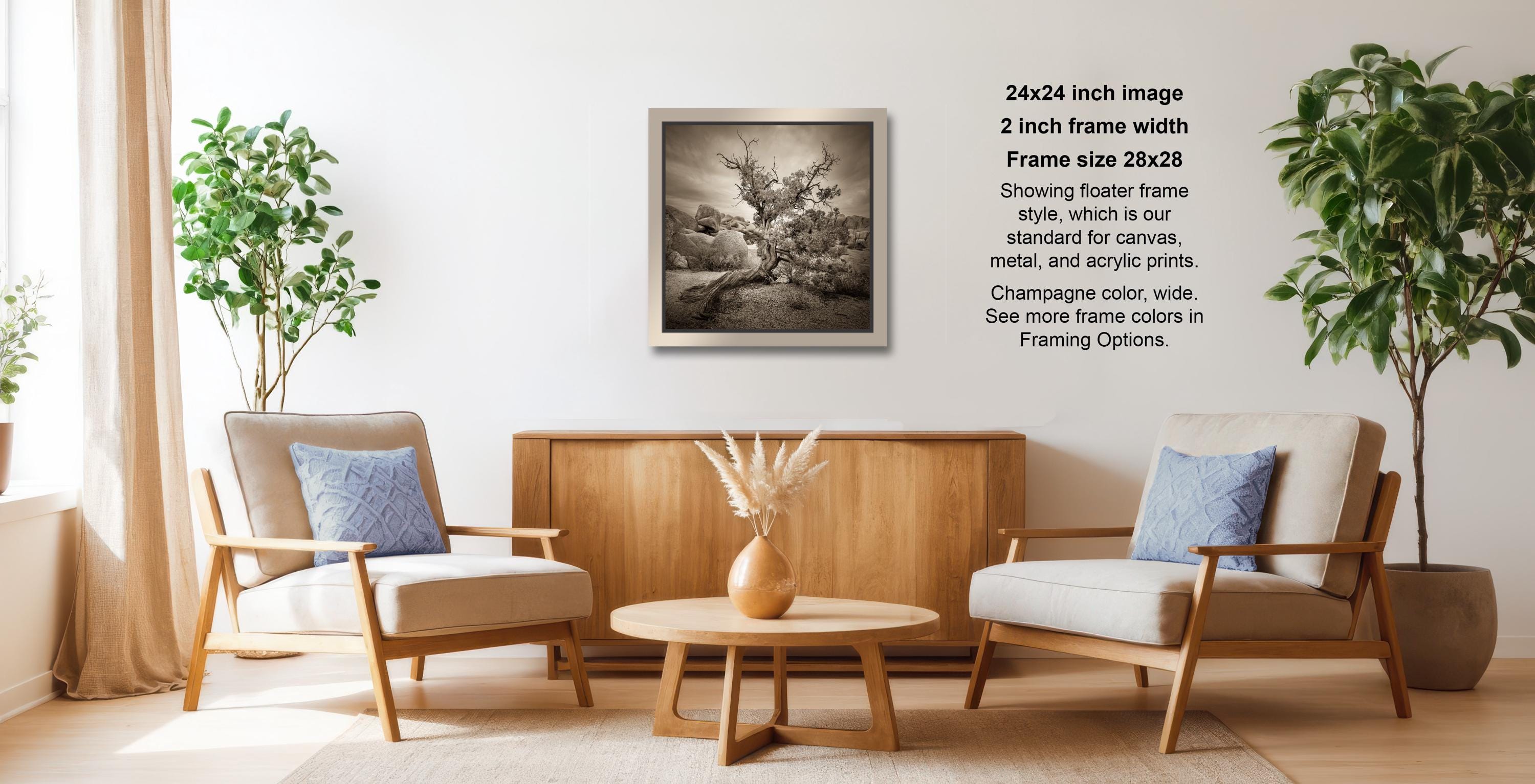 a cozy living room with two beige armchairs, a wooden coffee table, and a framed black and white landscape photograph hanging on the wall.