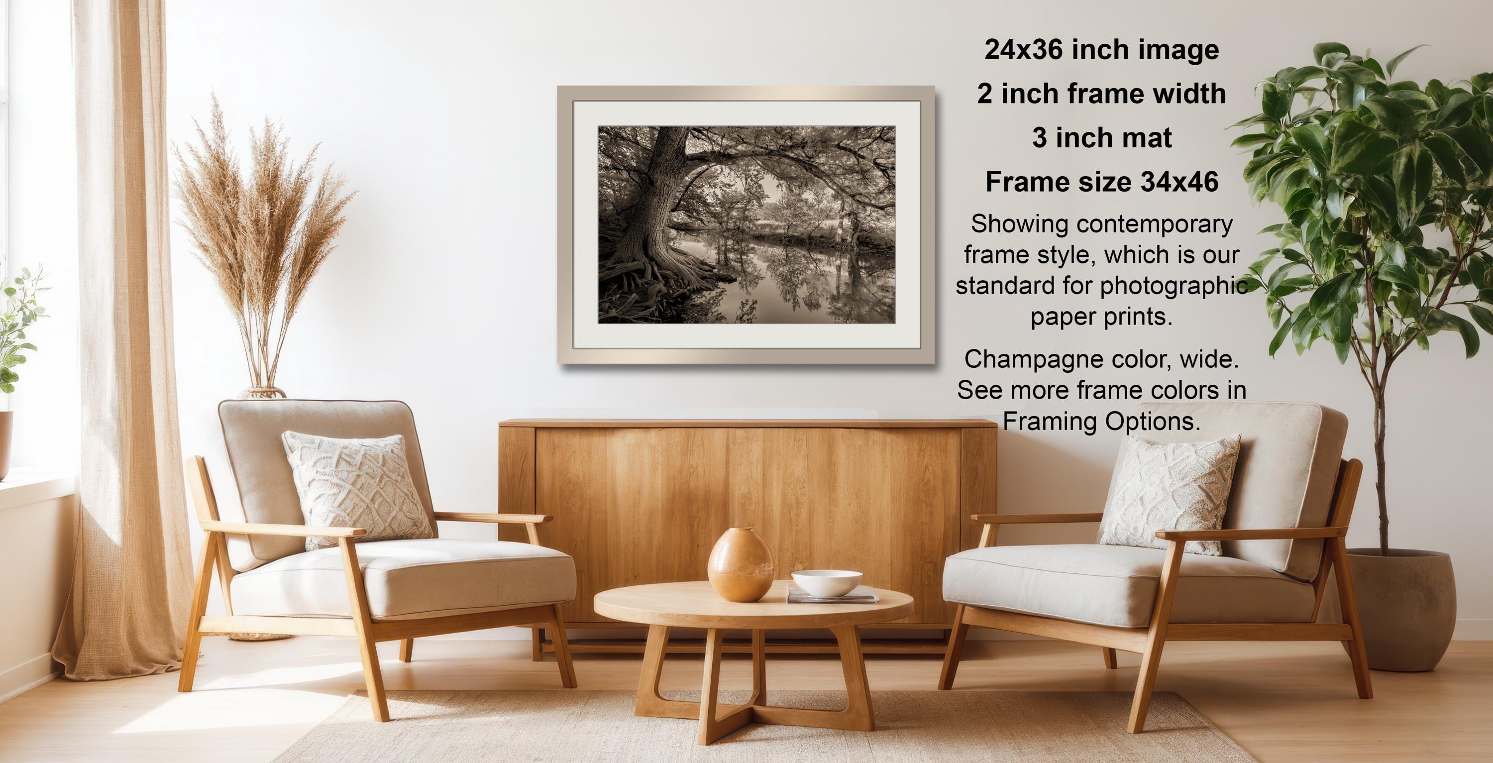a cozy living room with a wooden coffee table, two beige armchairs, and a framed black and white photograph of a tree on the wall.