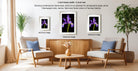 a modern living room with a wooden coffee table, two chairs, and a potted plant. There are three framed pictures of purple flowers hanging on the wall, each with a different frame size.