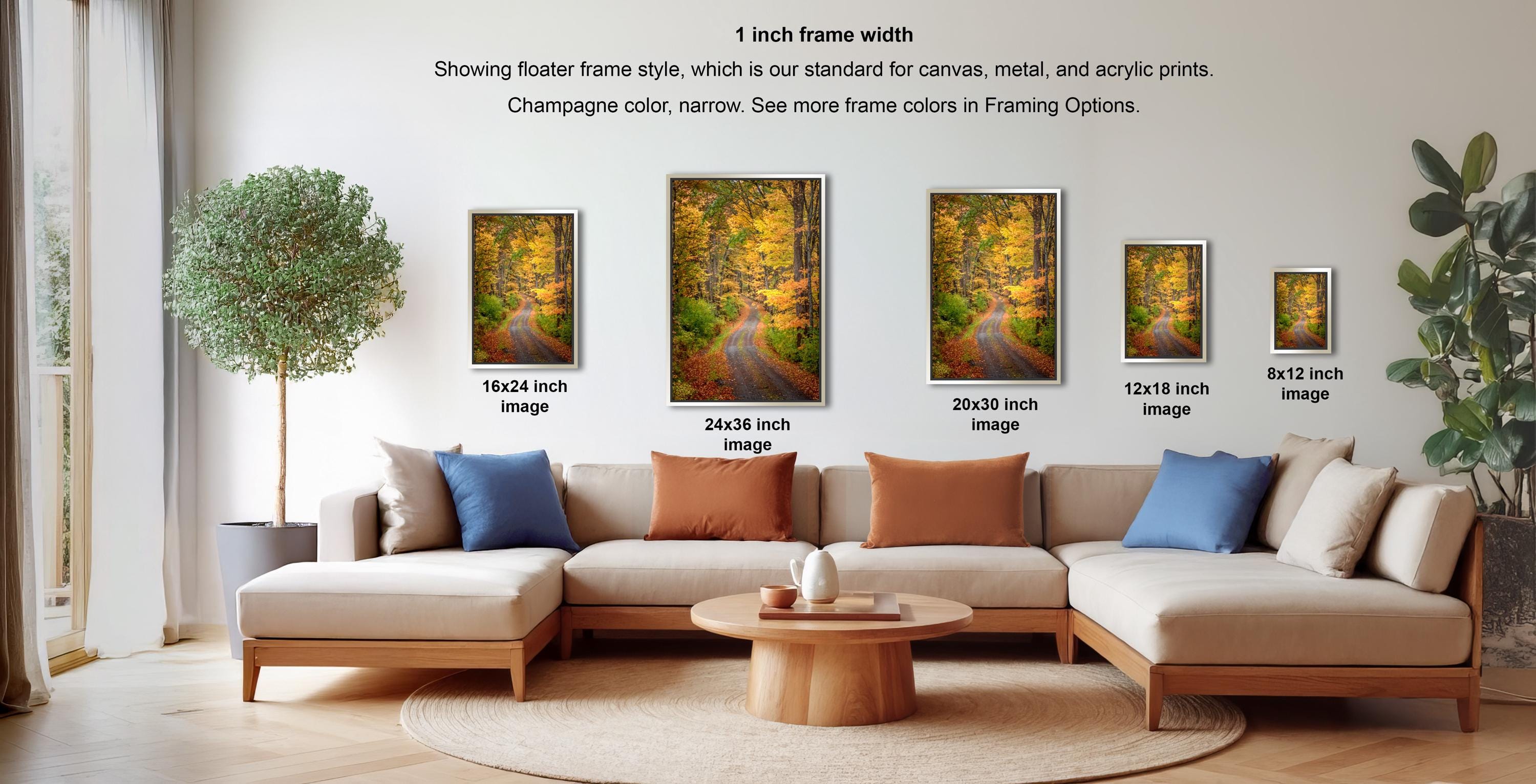 a living room with a large sectional sofa, a coffee table, and a potted plant. There are four framed landscape photographs of varying sizes displayed on the wall, each with a different frame width. The text above the photographs indicates that the frame widths are 1 inch, and the frame styles are standard for canvas, metal, and acrylic prints.
