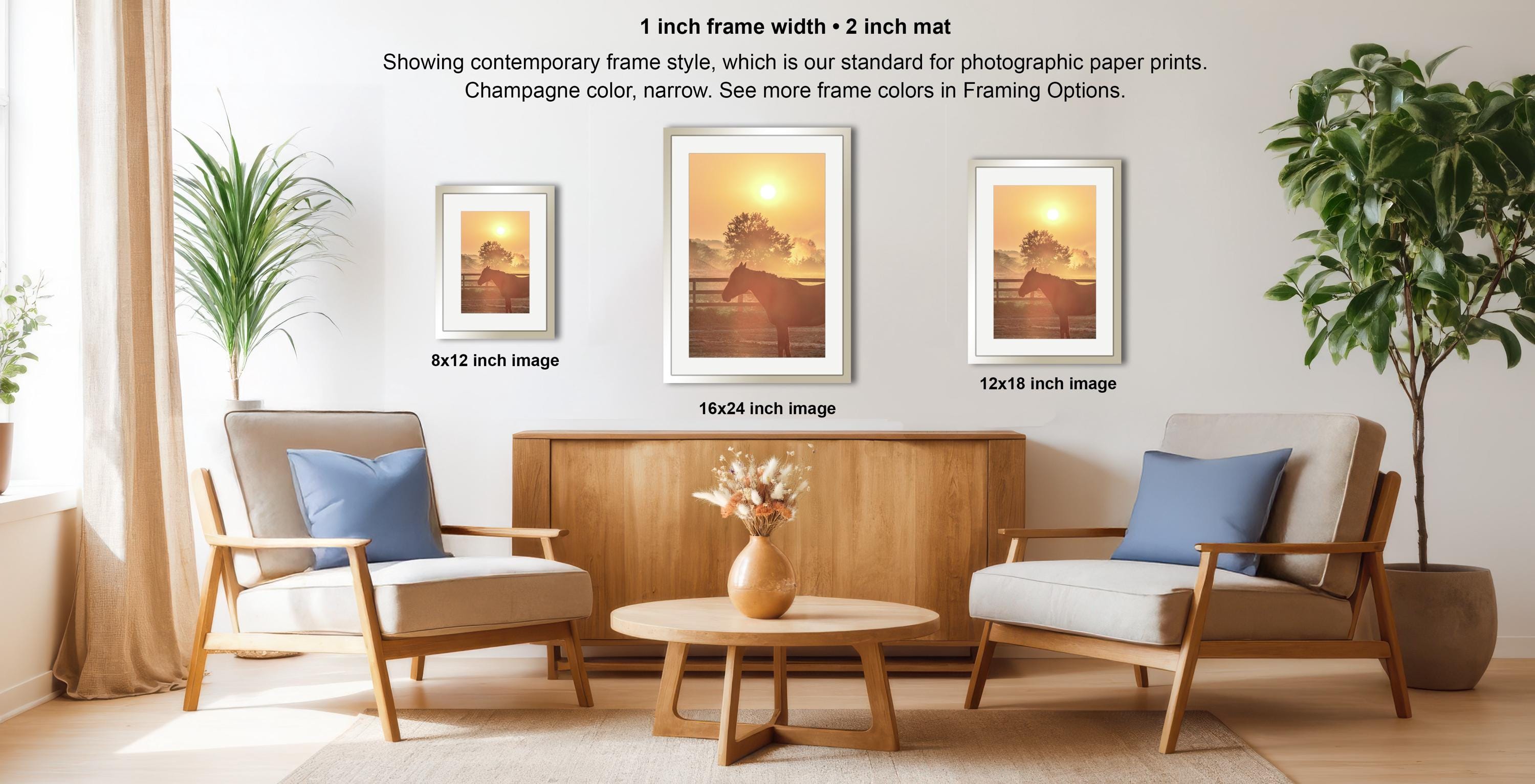 a living room with two chairs, a coffee table, and three framed pictures hanging on the wall. The frames vary in size, with the largest one being 16.2 inches wide and the smallest one being 12.2 inches wide. The chairs have blue pillows, and there is a vase of flowers on the coffee table. The overall scene appears to be a cozy and inviting space.