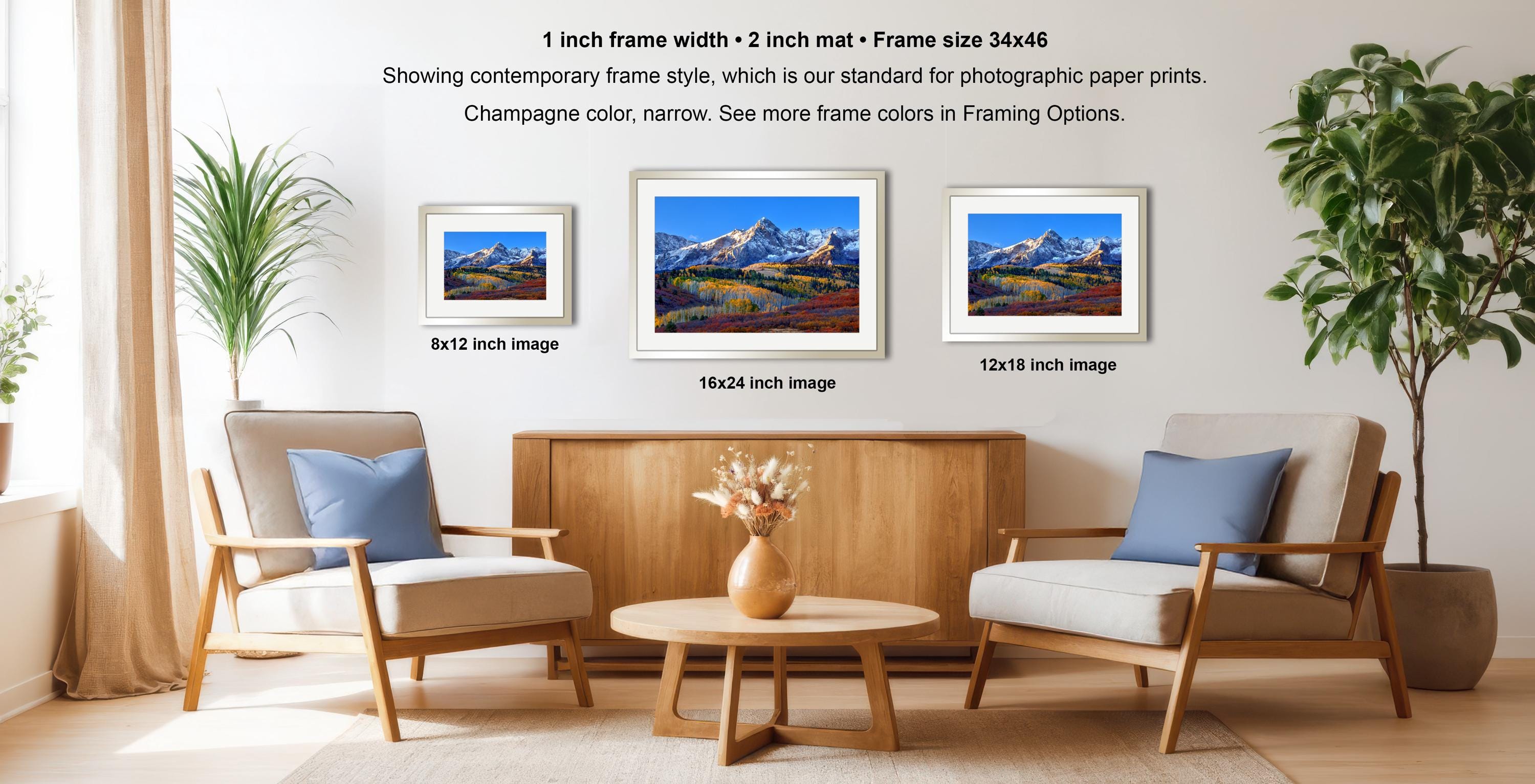 a living room with three framed landscape paintings hanging on the wall. The paintings are of varying sizes, with the largest one being 8x12 inches and the smallest one being 16x24 inches. The room is furnished with two chairs and a coffee table, and there are potted plants and a vase adding to the decor. The overall layout and arrangement of the furniture and artwork create a harmonious and inviting atmosphere.