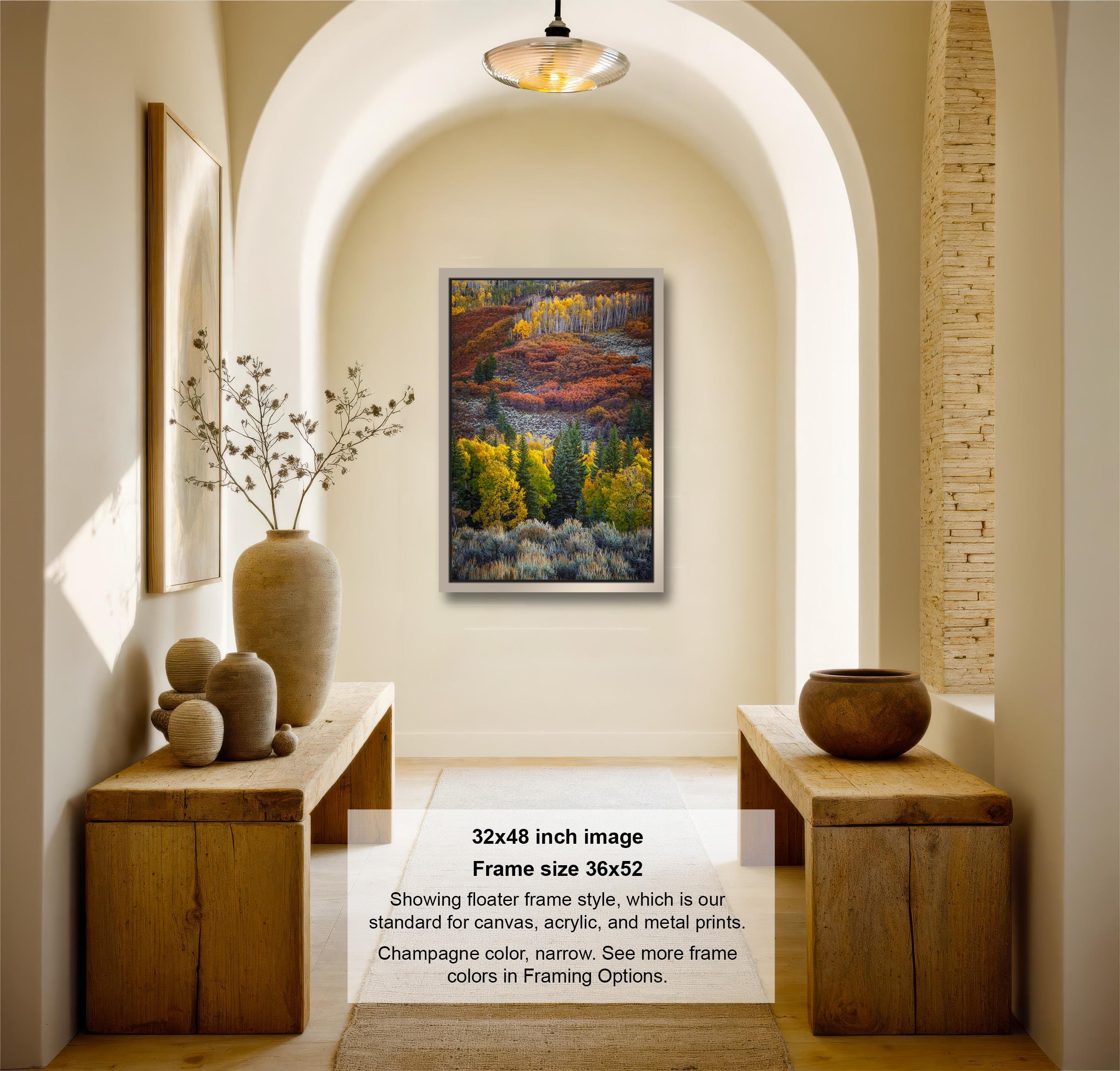 The image is a 32x48-inch framed photograph of a forest scene, hanging on a wall in a room with wooden furniture and decorative items.