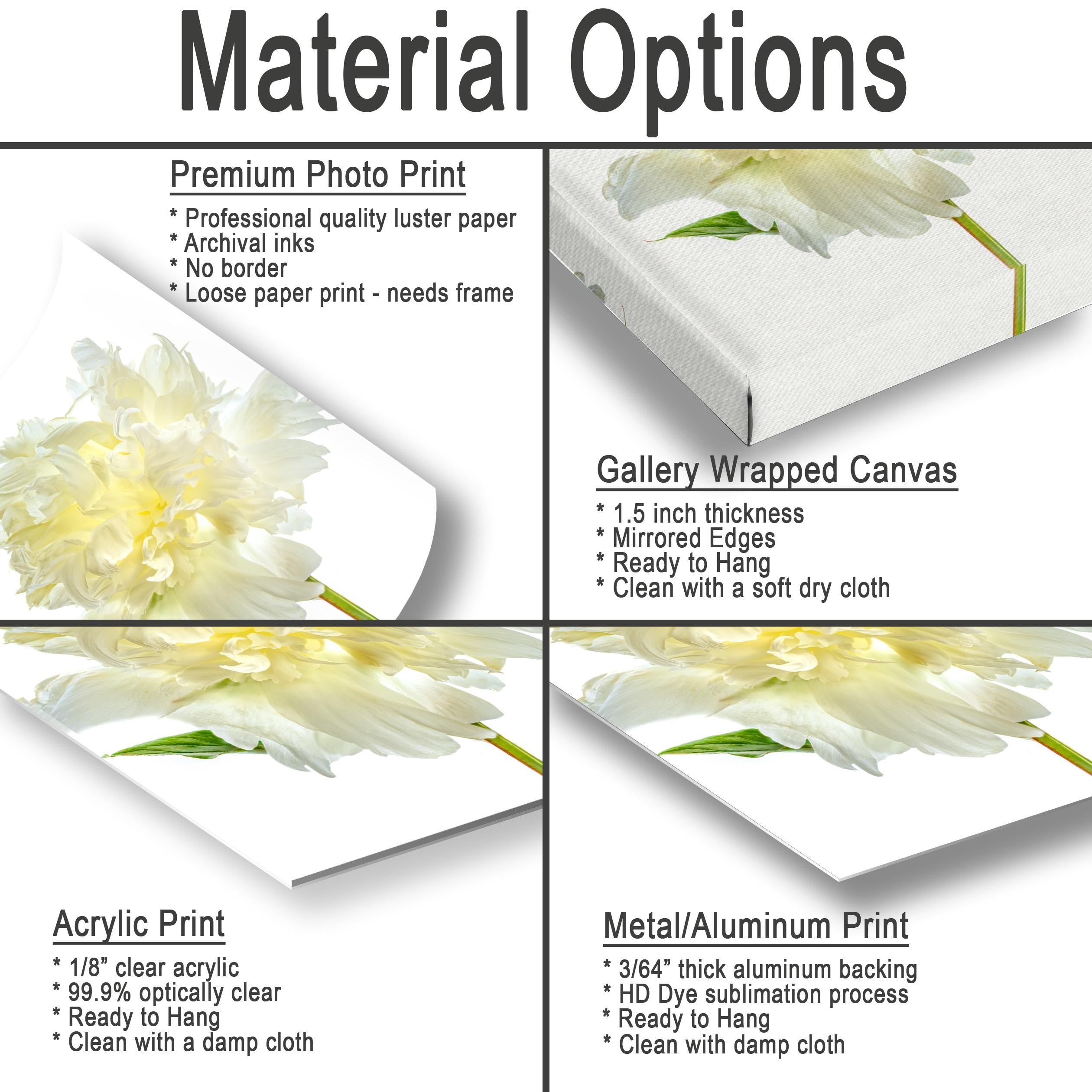 The image is a collage of four different types of printed materials, including a premium photo print, a gallery wrapped canvas, an acrylic print, and a metal/aluminum print. Each type of print has its own unique characteristics and uses, such as professional quality luster paper, archival inks, and different frame requirements.