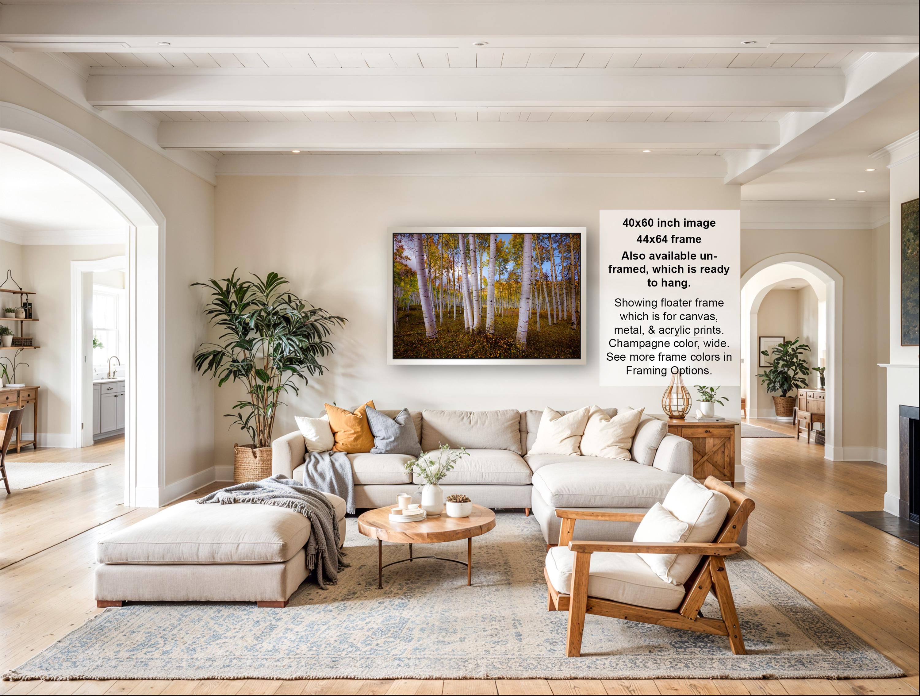 The image is a large framed picture of a forest scene, hanging on a wall in a living room.