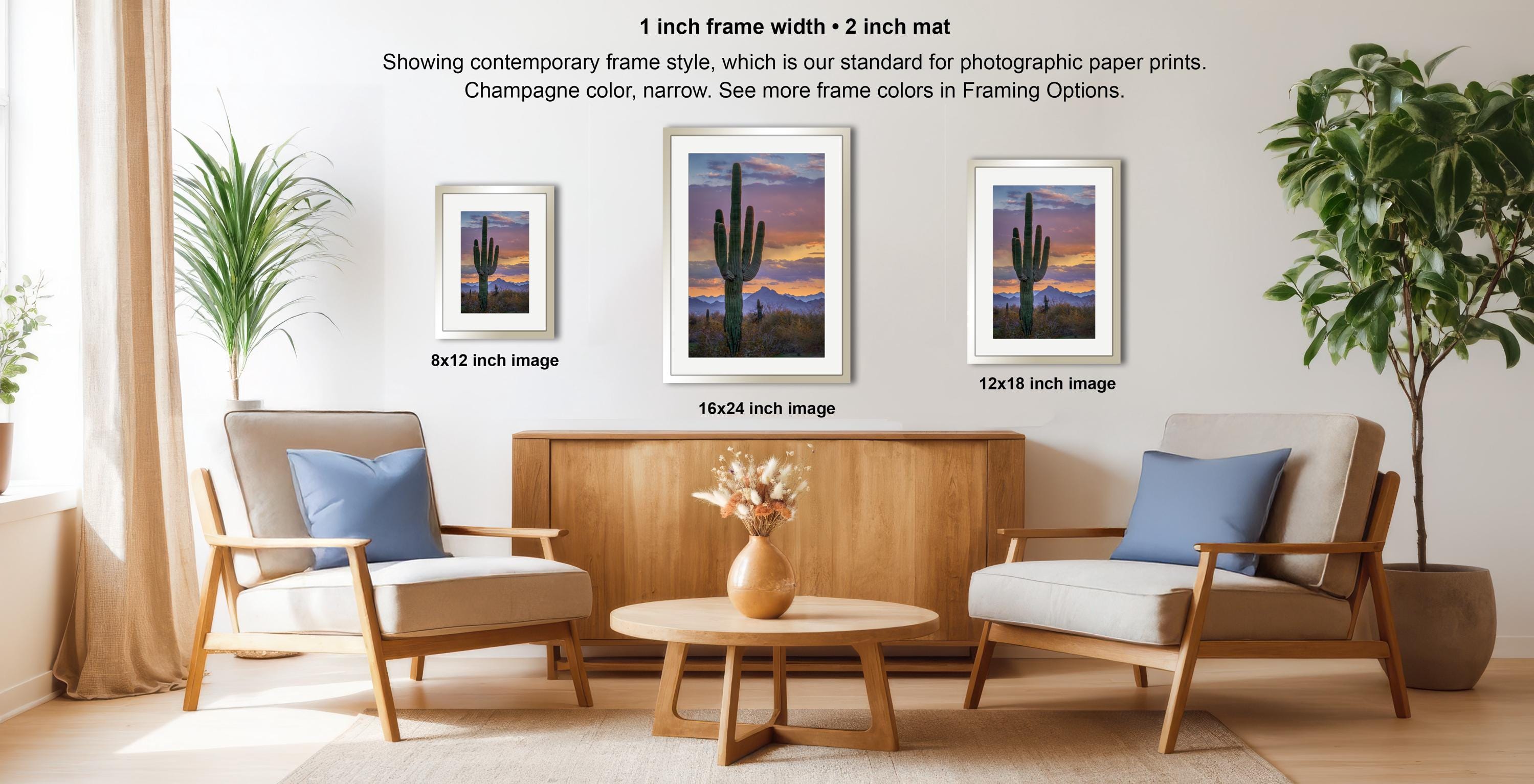 a modern living room with a wooden coffee table, two armchairs, and a framed photograph of a desert landscape. The photograph is framed in a 1-inch wide frame, and the text indicates that the frame is suitable for showing contemporary frame style, which is our standard for photographic paper prints. The photograph has a champagne color, a narrow frame, and the frame colors are limited to 12x18 inches.