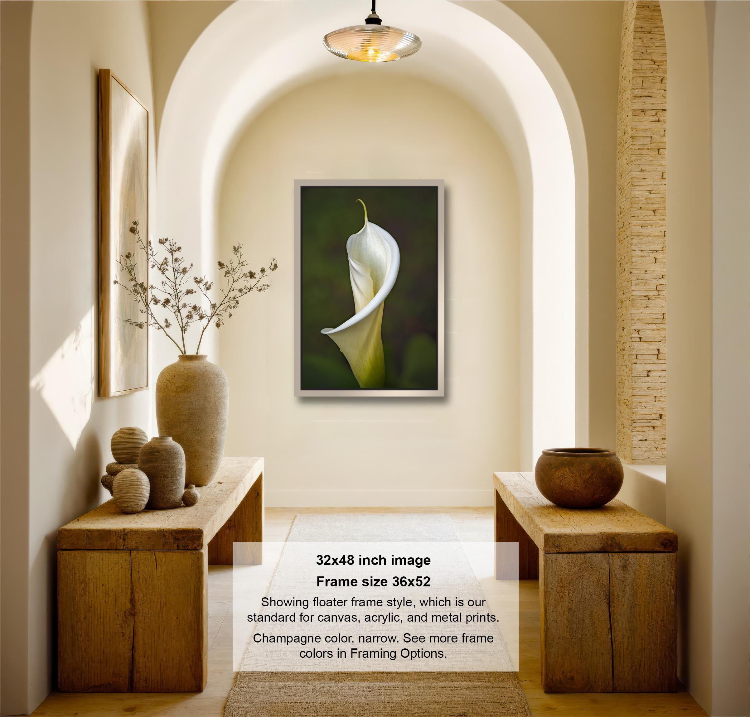 The image is a 32x48-inch framed photograph of a white flower, specifically a lily, displayed in a wooden frame. The frame is 36x42 inches in size, and it is shown in a hallway with a wooden bench and a vase of flowers on either side. The photograph is framed in a standard wooden frame style, and it is described as a "floater frame style" that is our standard for canvas, acrylic, and metal prints. The colors in the frame are listed as "framing options."