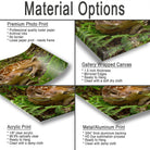 Material Options