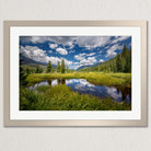 a serene landscape with a calm lake surrounded by lush green grass and towering trees. The sky above is a clear blue with fluffy white clouds, creating a peaceful and picturesque scene.
